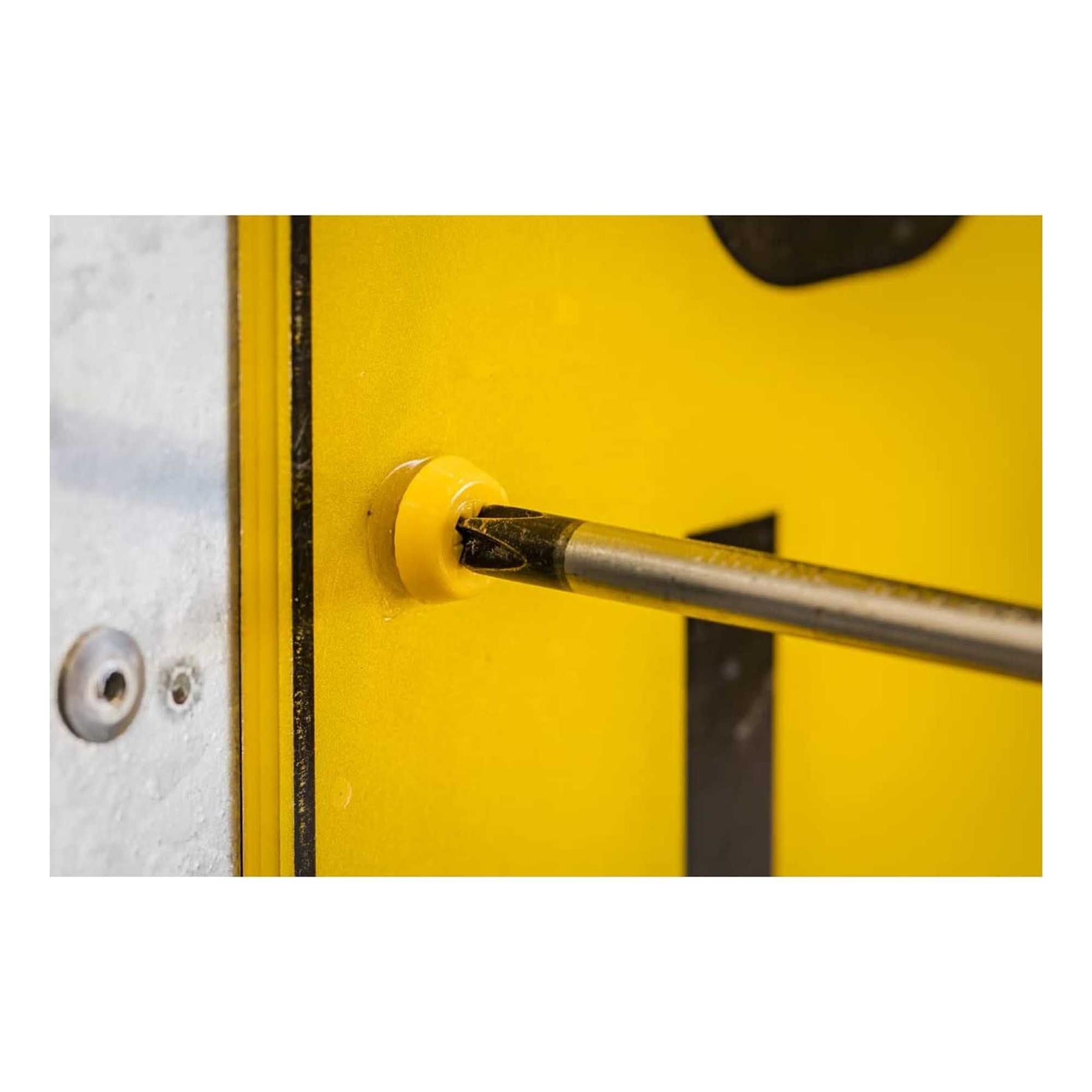 Sealey Numberplate Screw Assortment 195pc 4.8mm x 18mm - Plastic Enclosed Head