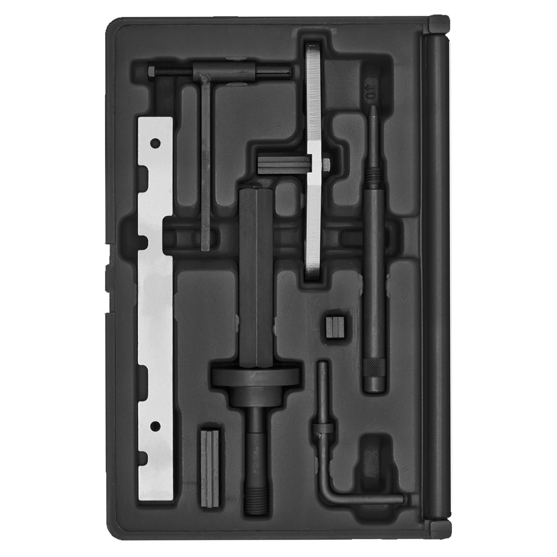 Die Eng S/L Kit & Timing Chain R&I Kit-Ford-Belt/Chain Drive. Sealey