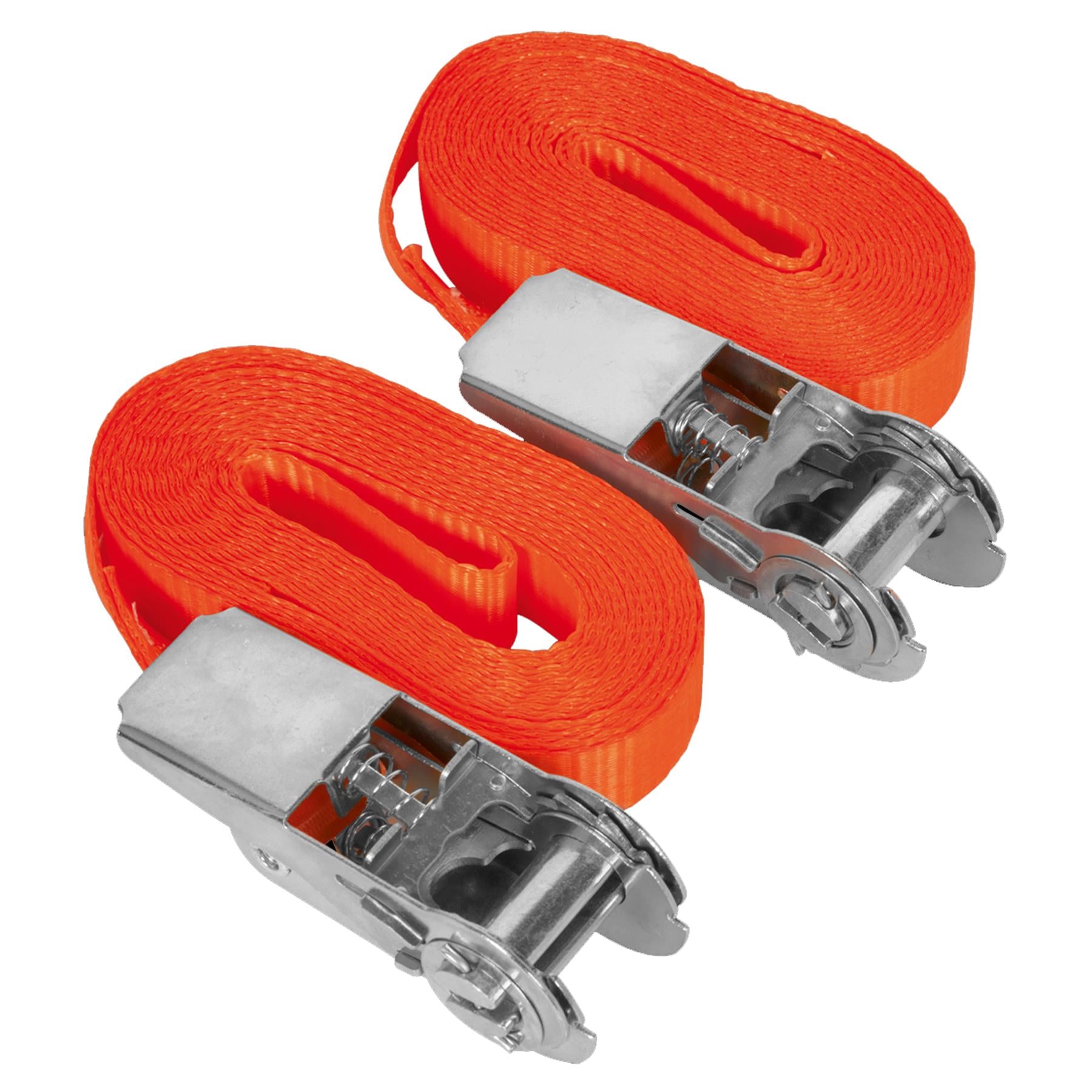Sealey S/Securing Ratchet Tie Down 25mm x 4.5m 800kg Load - Pair