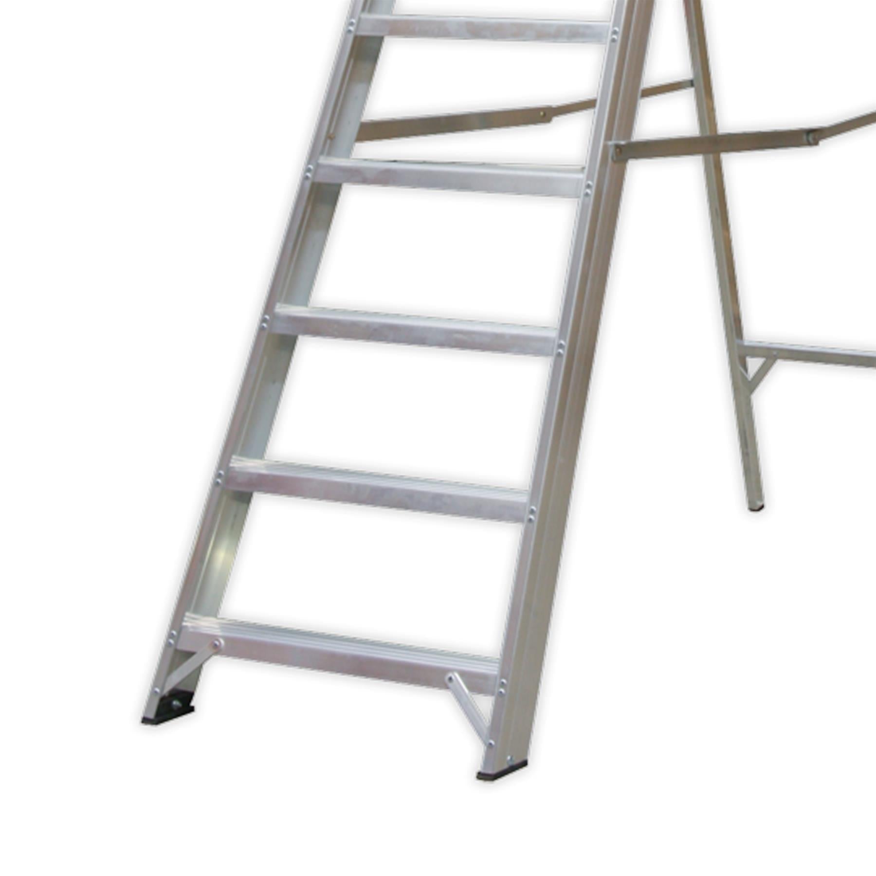 Sealey Aluminium Step Ladder 10-Tread Industrial BS 2037/1