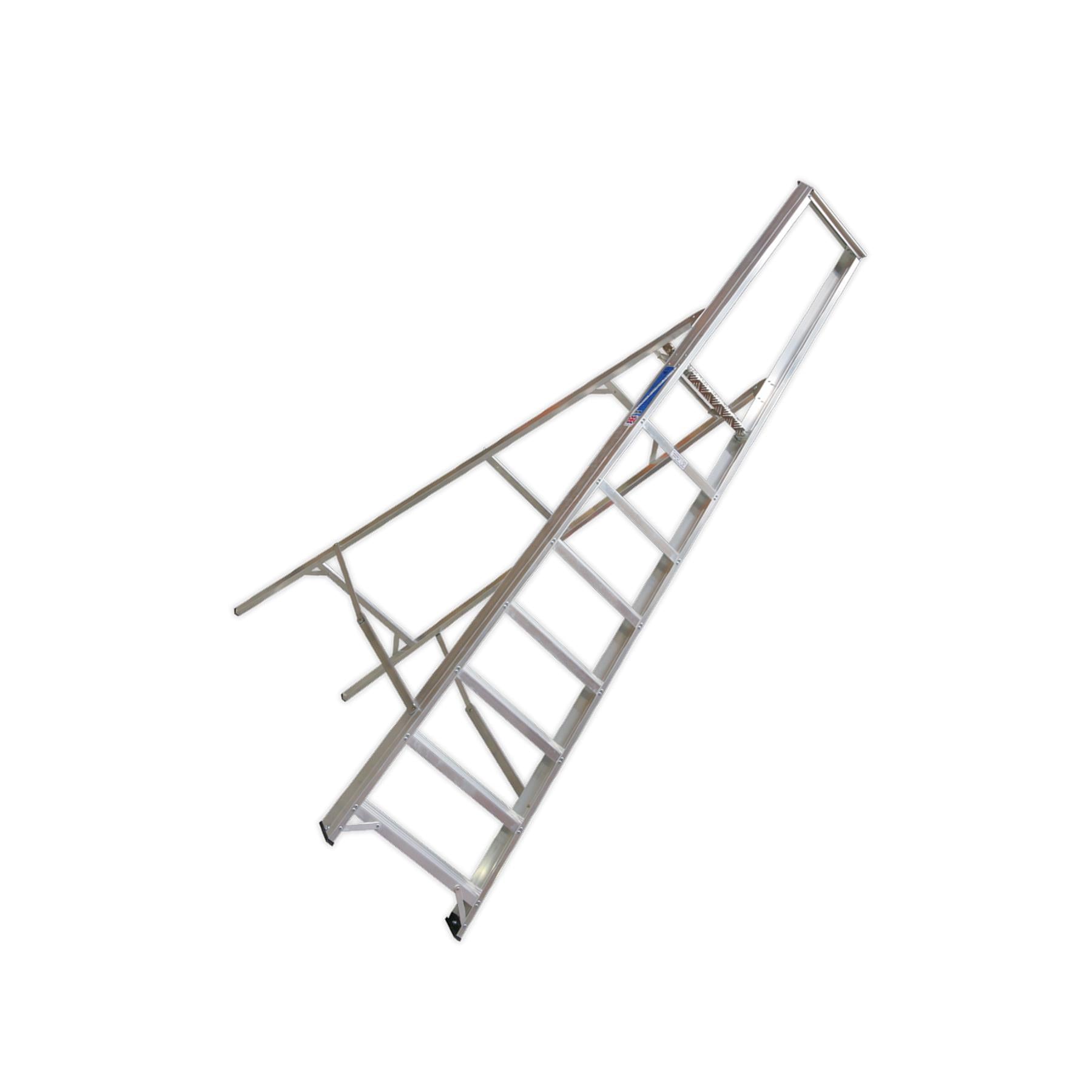 Sealey Aluminium Step Ladder 8-Tread Industrial BS 2037/1