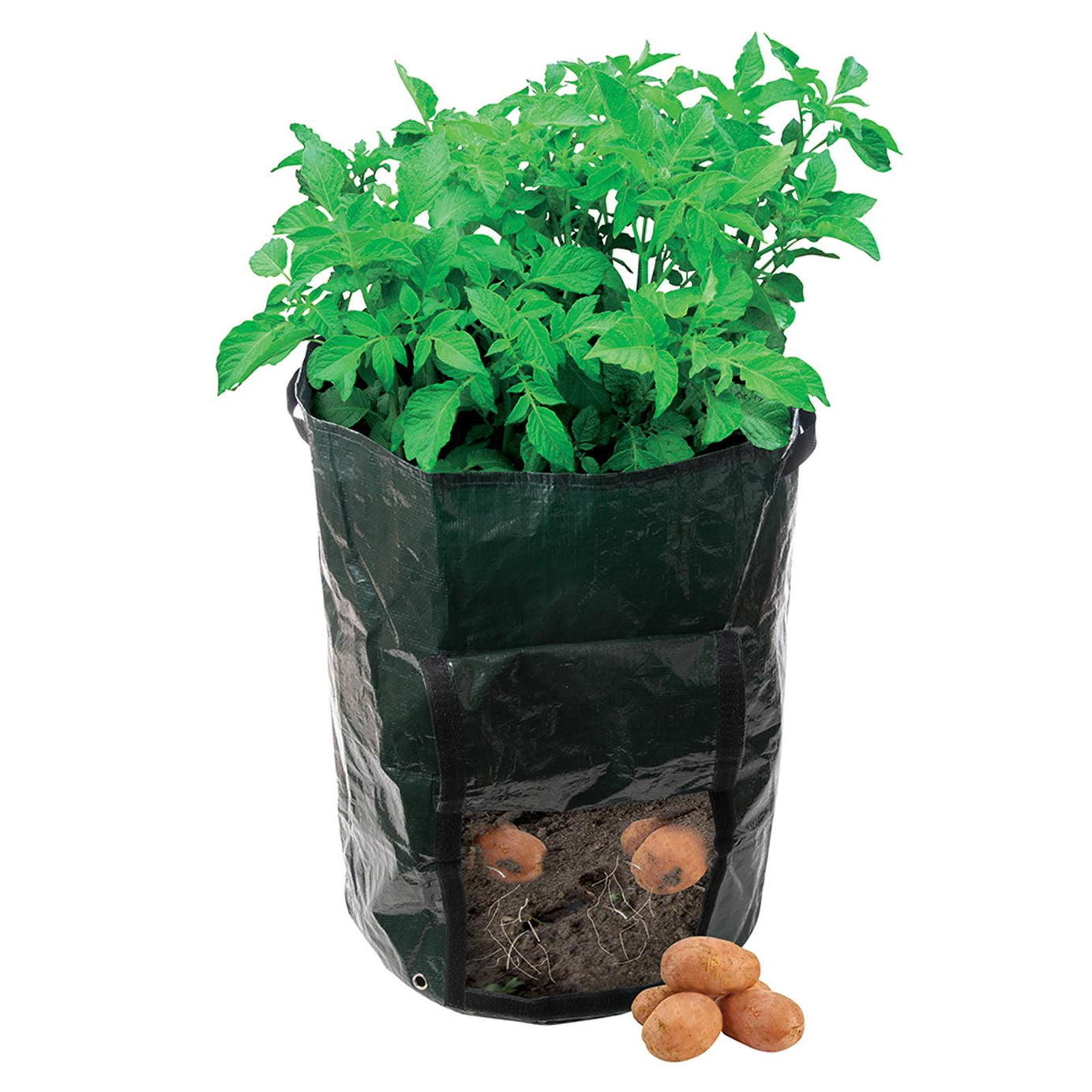 Potato Planting Bag - 360 X 510mm Tough, Woven Plastic Bag Planter New