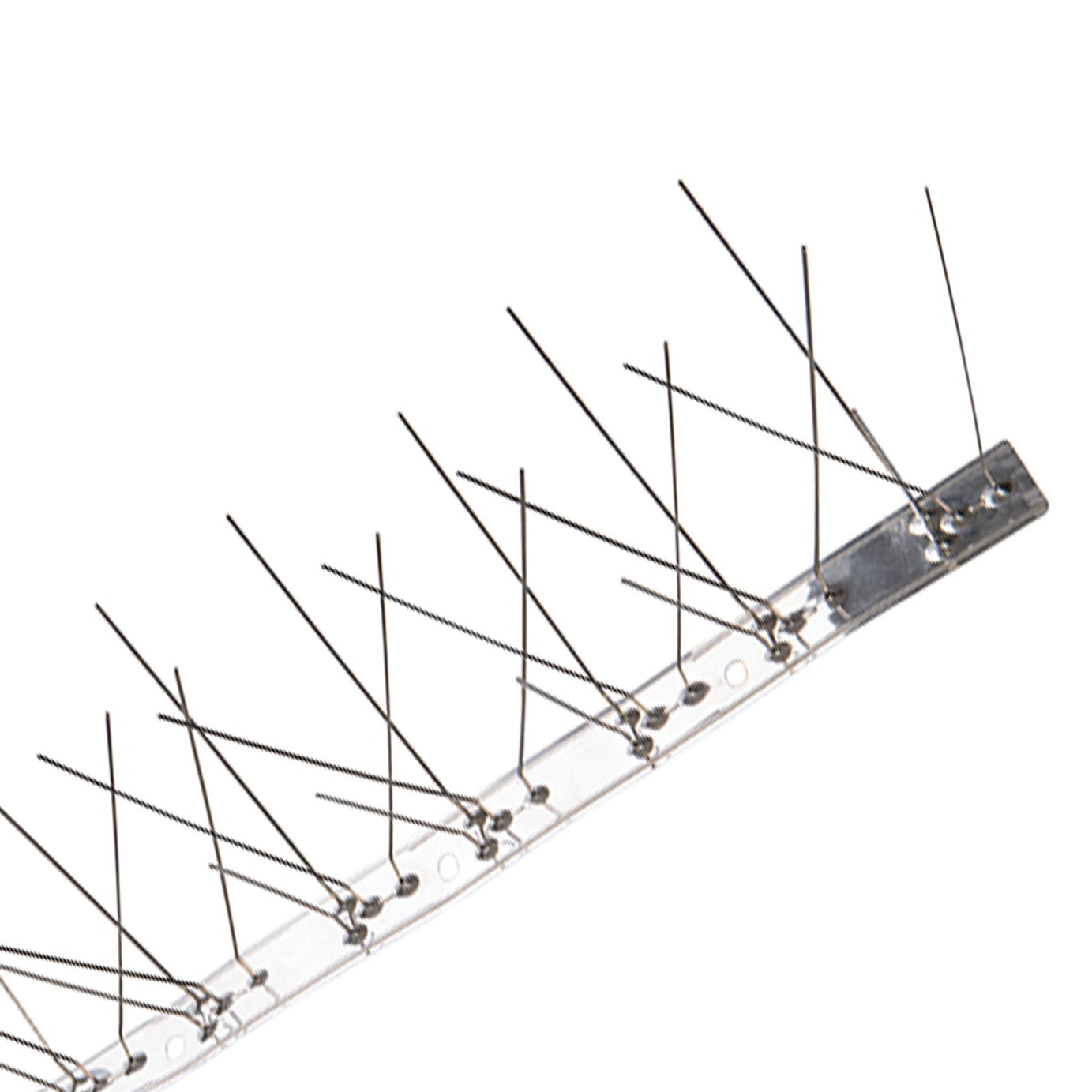 10Pk Stainless Steel Bird Spikes - 500mm (4 Spike) Stainless Steel Base & Spikes