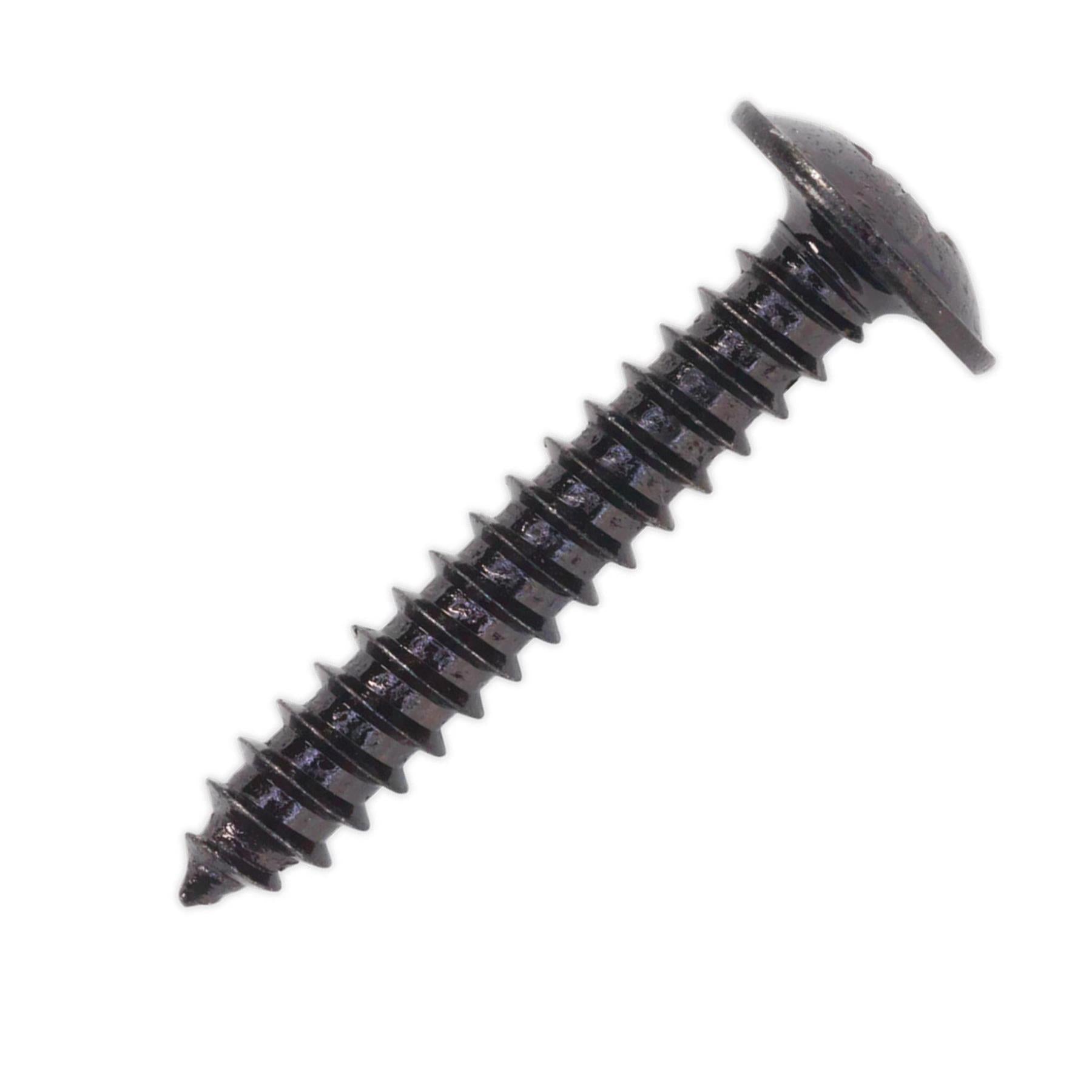 Self Tapping Screw 4.2 x 25mm Flanged Head Black Pozi Pack of 100 Sealey