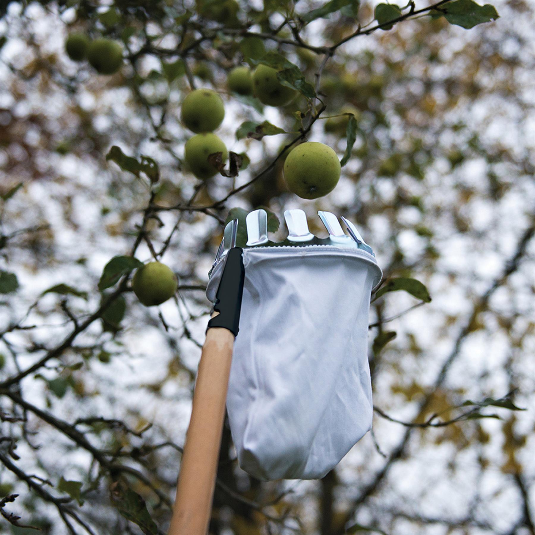 Fruit Picker Picking & Catching Tool 158mm Diameter 13 Metal Picking Teeth