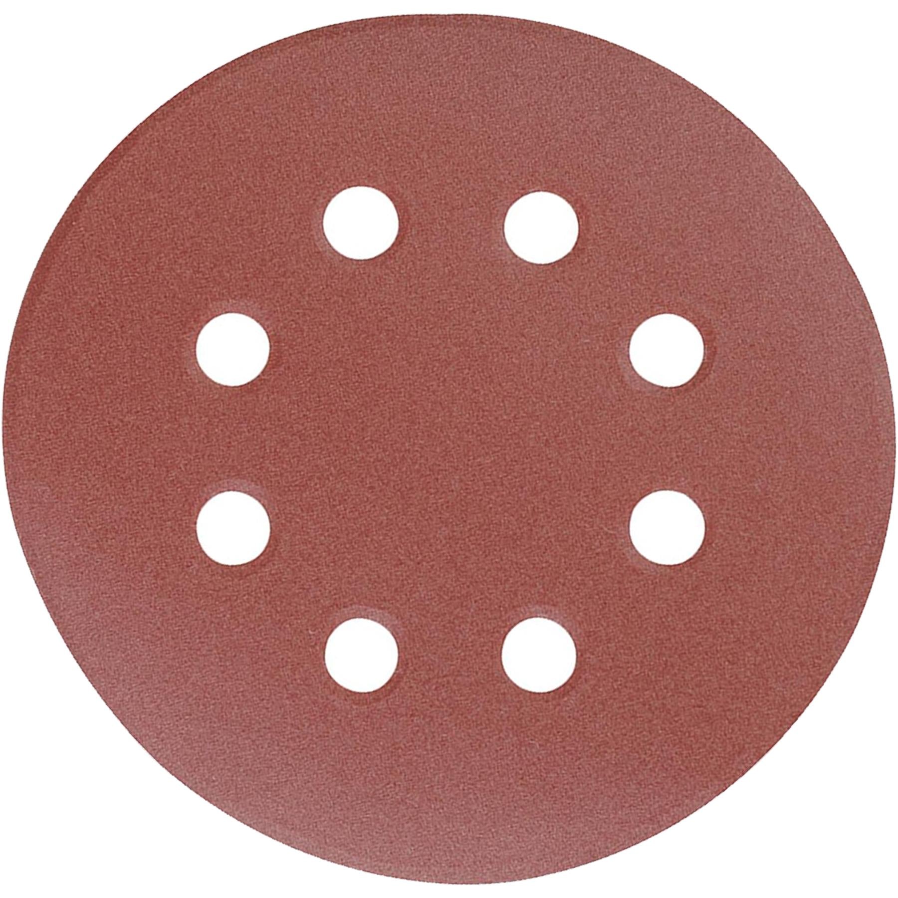Punched Sanding Discs 125mm 10Pk Grit 40 Hook & Loop Aluminium Oxide DIY