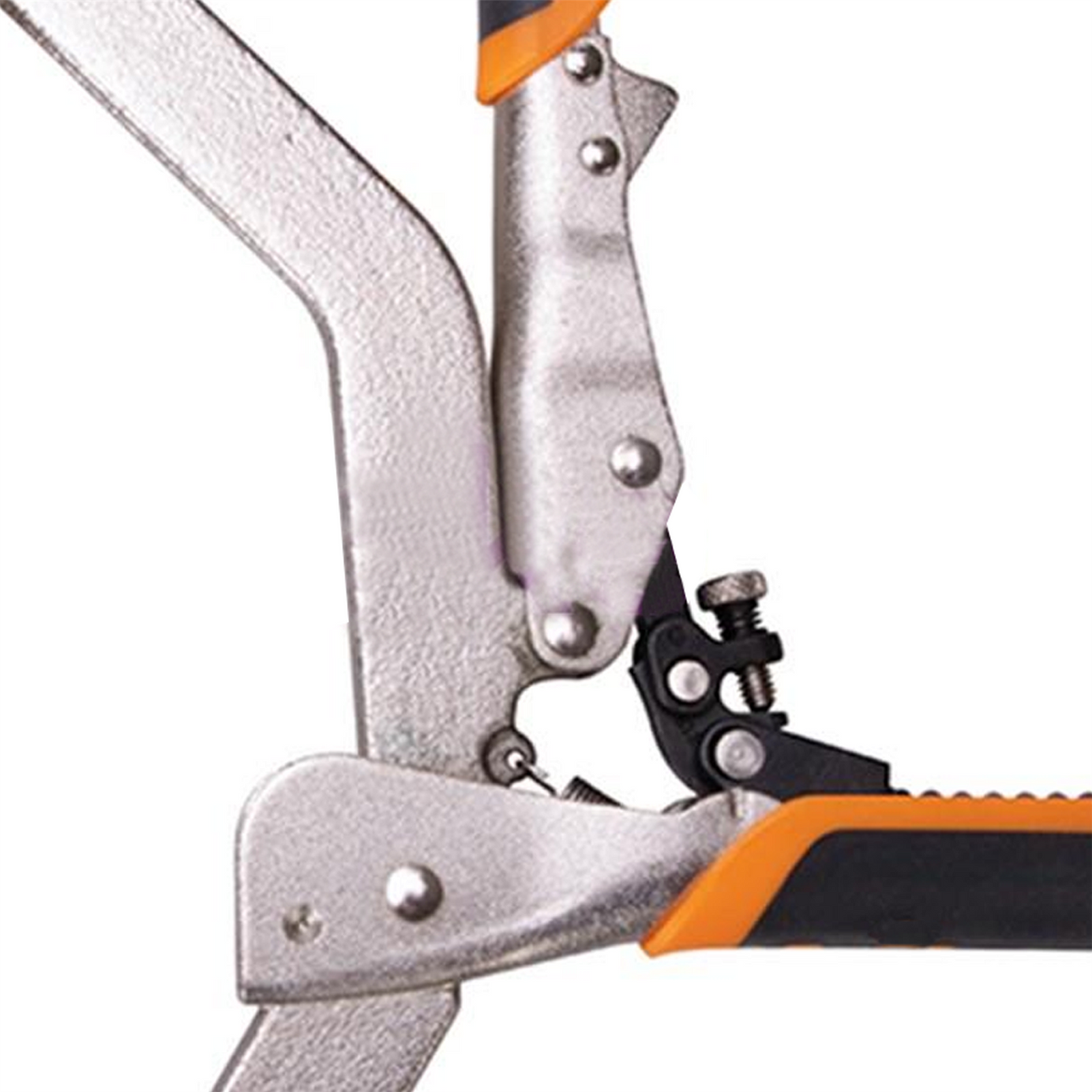 3" 75mm Classic Face Clamp