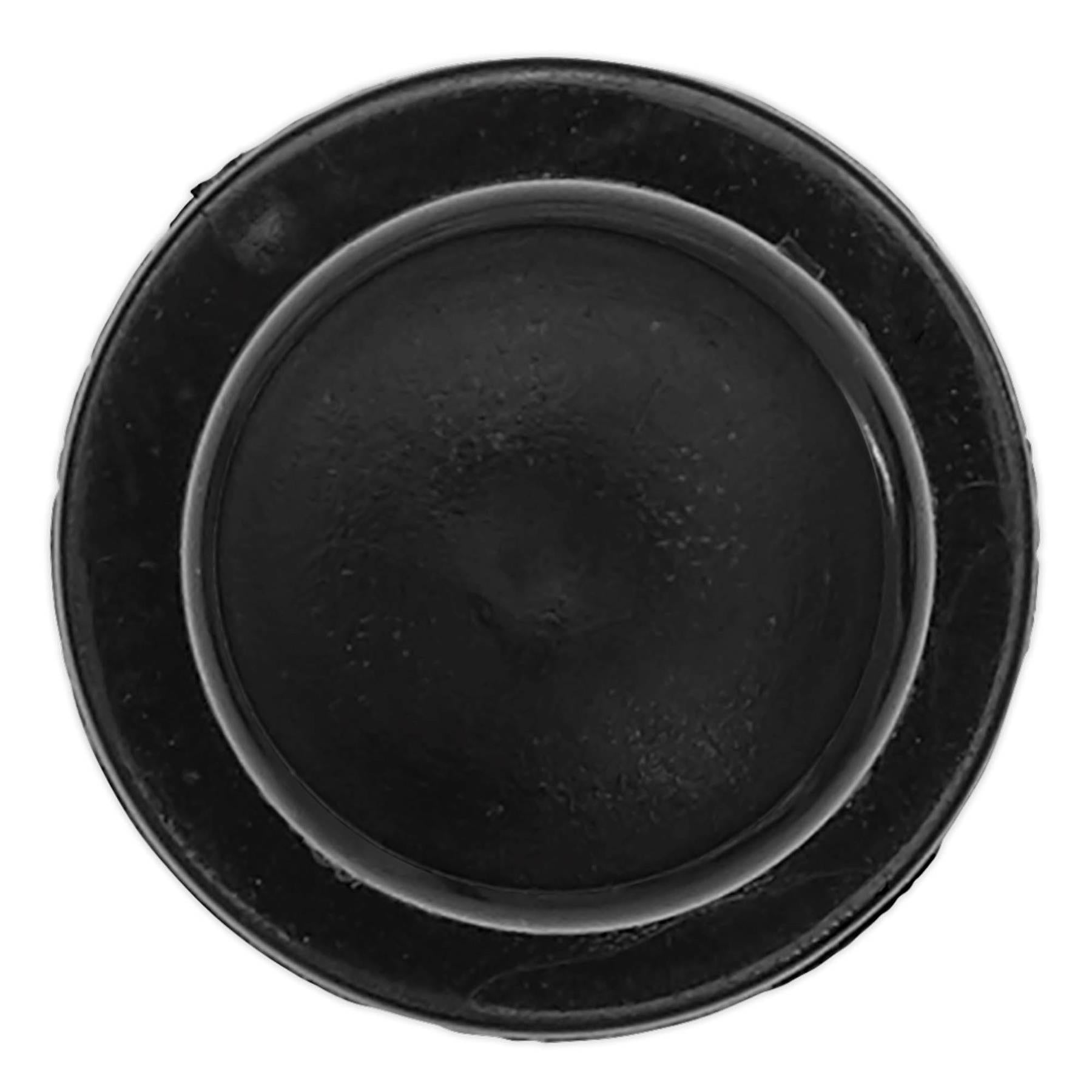 Sealey Push Rivet, Bumper, �20mm x 35mm, Citroen - Pack of 20