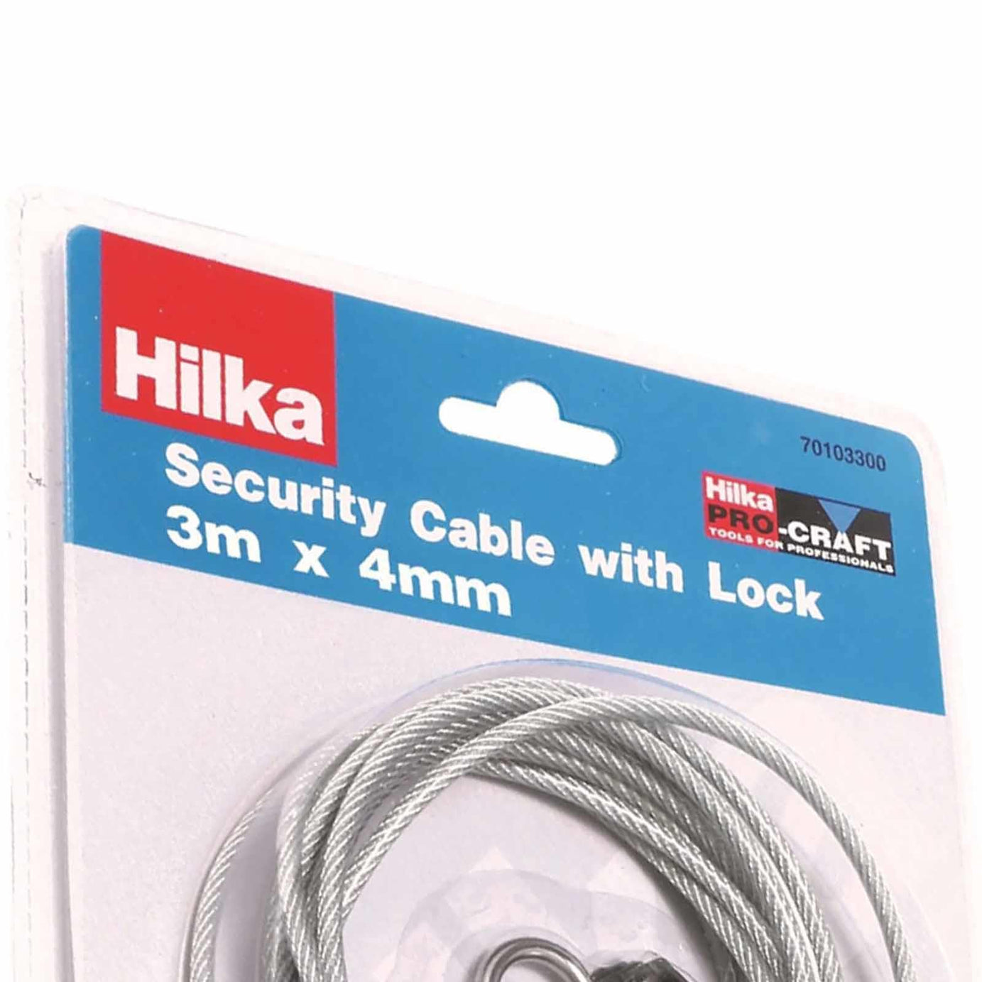 Security Cable with Lock