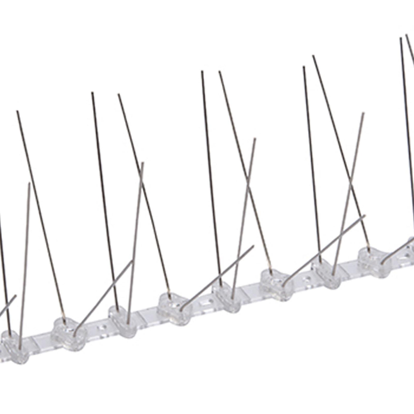 10Pk Bird Spikes 500mm (2 Spike) Polycarbonate Base With Stainless Steel Spike