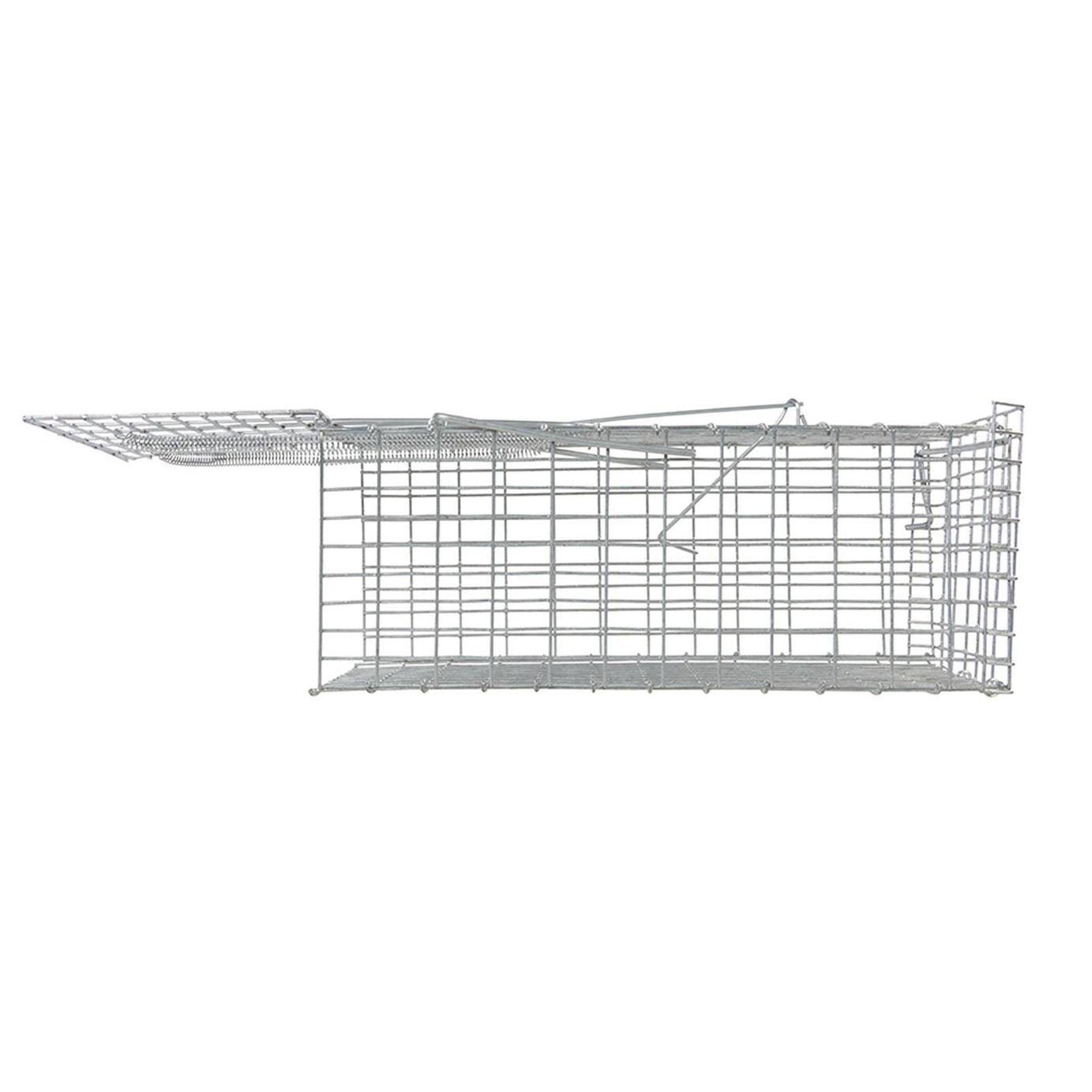Rat Cage Trap 300mm Trap Fast Efficient Pest Rodent Control Repel New
