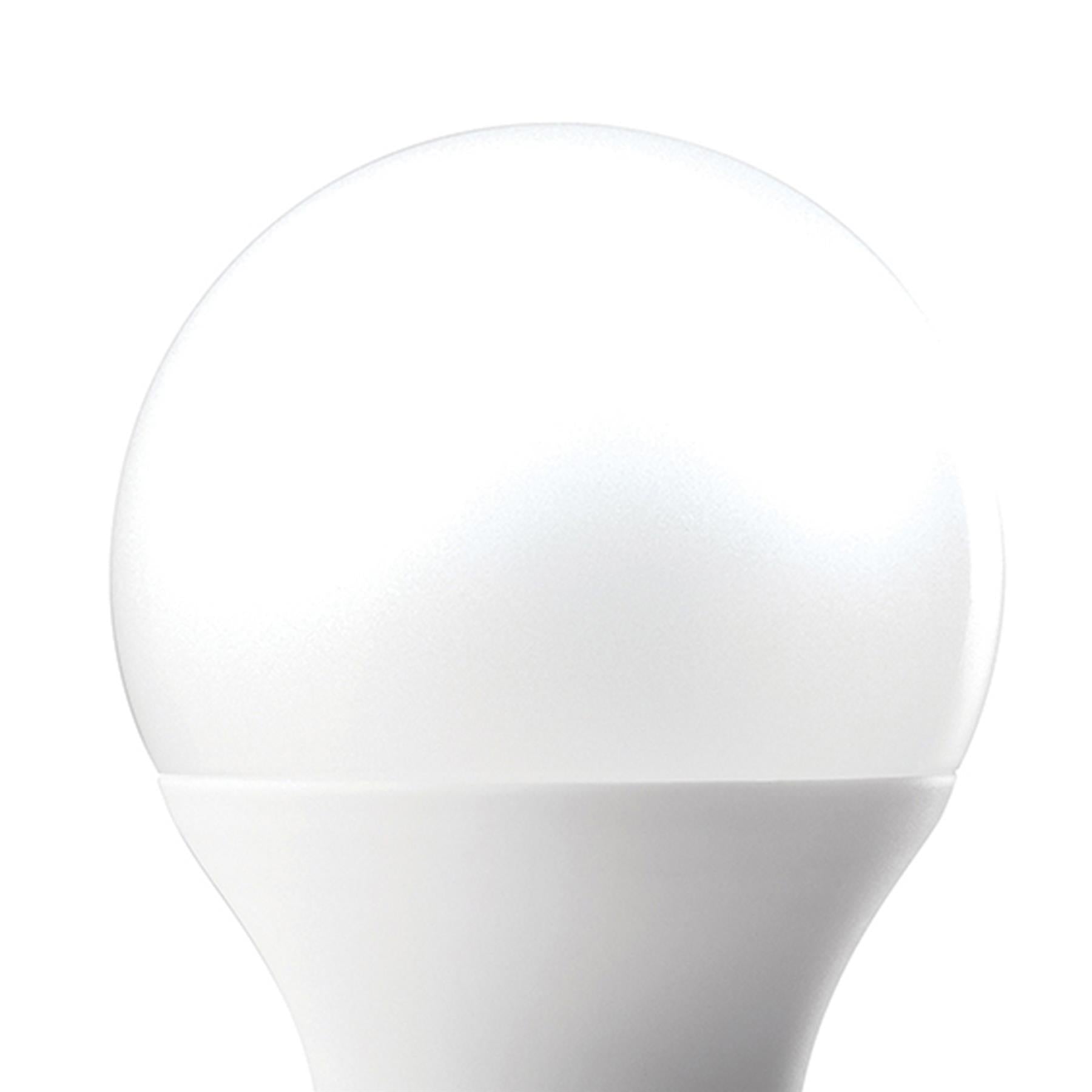 Defender Polycarbonate LED 10W Bulb ES (10S) 10Pk 110V