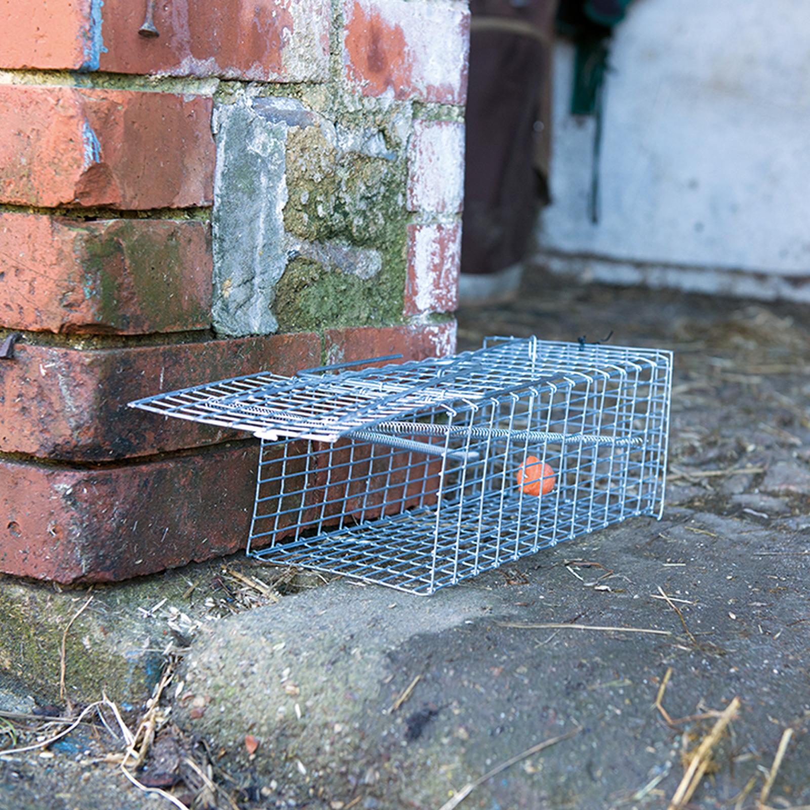 Rat Cage Trap 300mm Trap Fast Efficient Pest Rodent Control Repel New