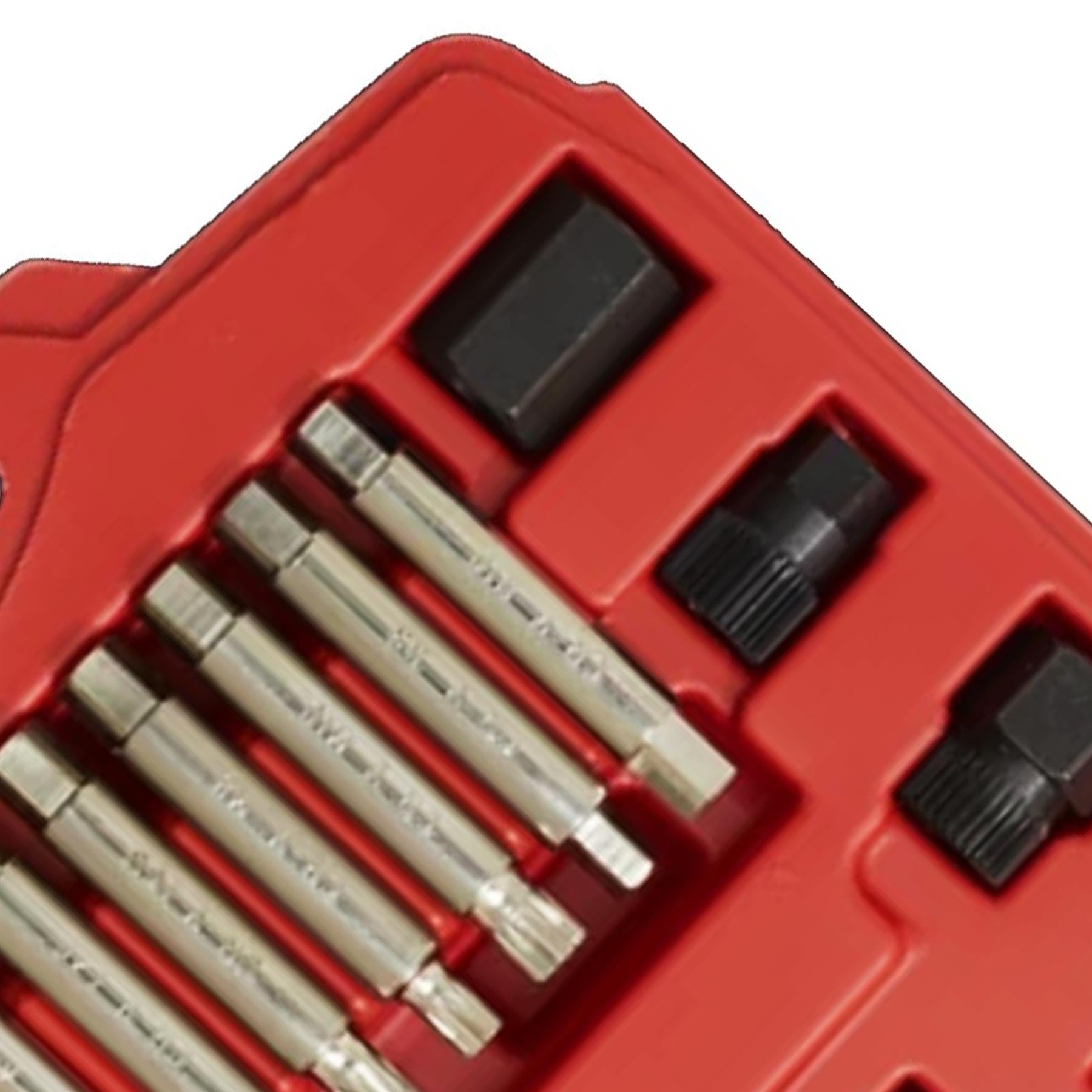 Alternator Freewheel Pulley Removal Set 18pc Sealey