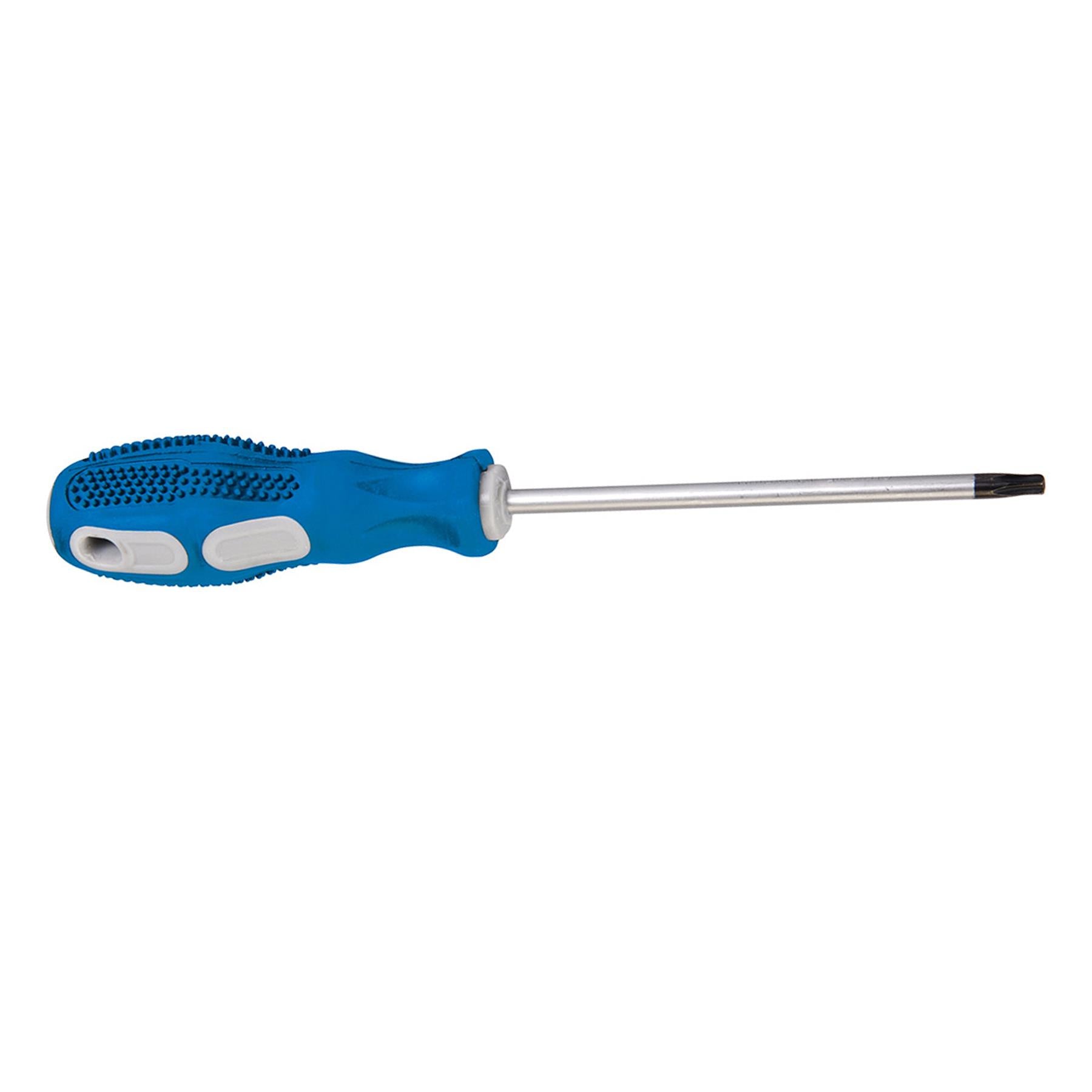 General Purpose Screwdriver Torx - T25 X 100mm Chrome Vanadium Tempered Blade