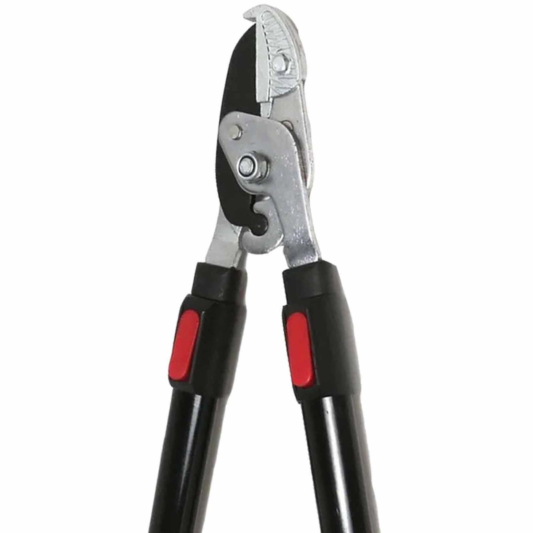 Heavy Duty Telescopic Anvil Loppers
