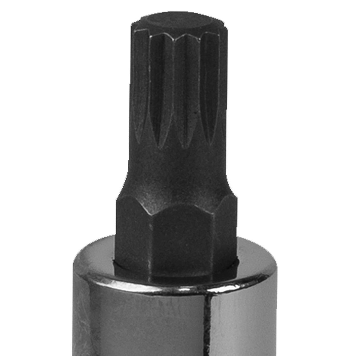 Sealey Spline Socket Bit M8 1/2"Sq Drive Chrome Vanadium steel