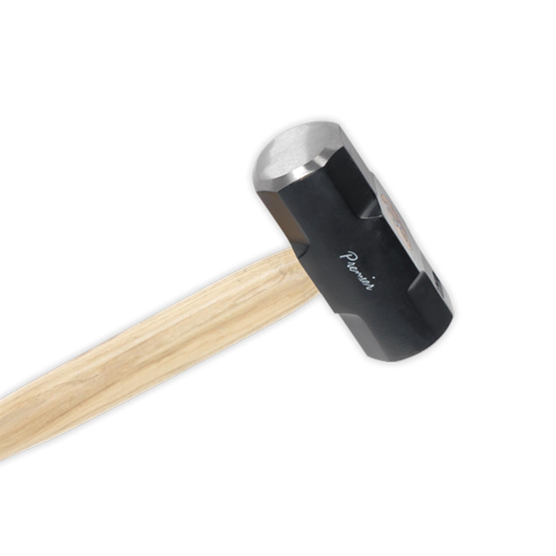 Sealey Sledge Hammer 10lb Hickory Shaft
