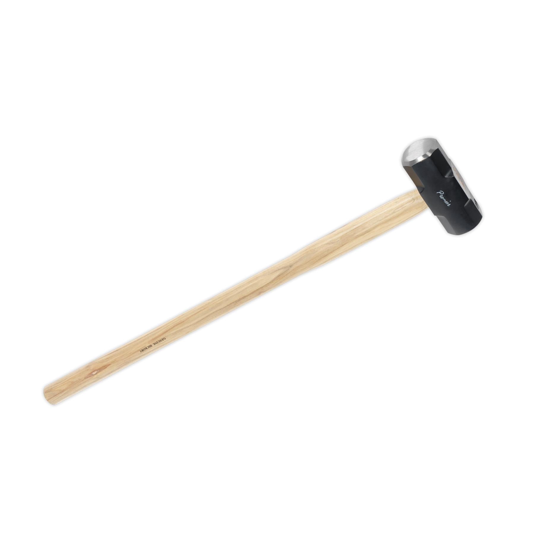 Sealey Sledge Hammer 10lb Hickory Shaft