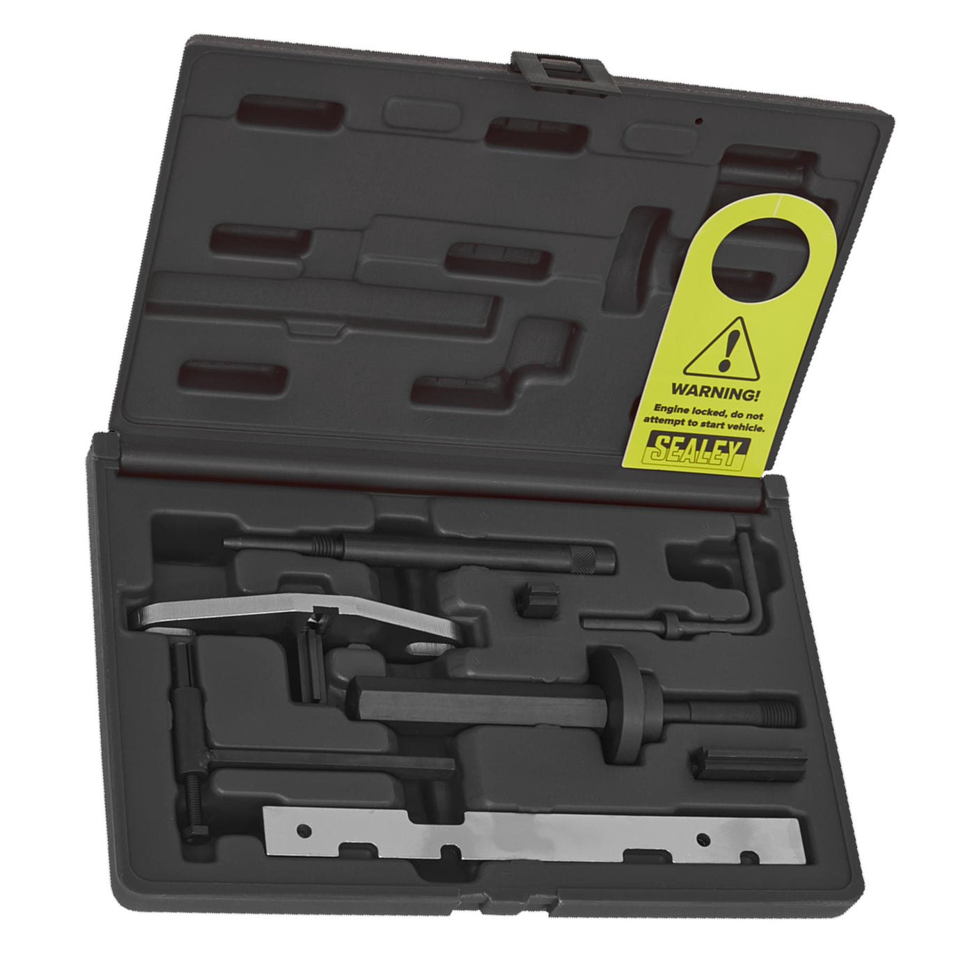 Die Eng S/L Kit & Timing Chain R&I Kit-Ford-Belt/Chain Drive. Sealey