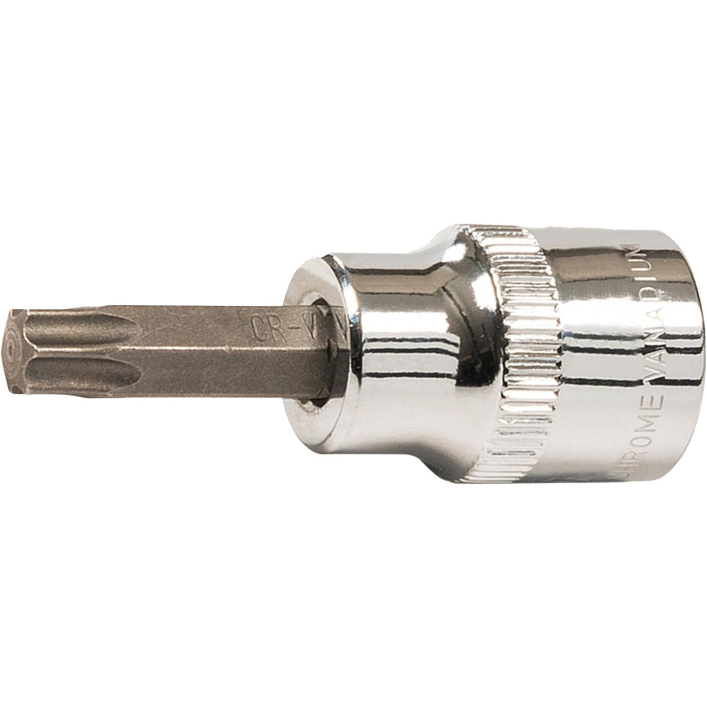 Torx Socket Set 7 Piece 1/4" 3/8" Square Drive T10 T15 T20 T25 T27 T30 T40