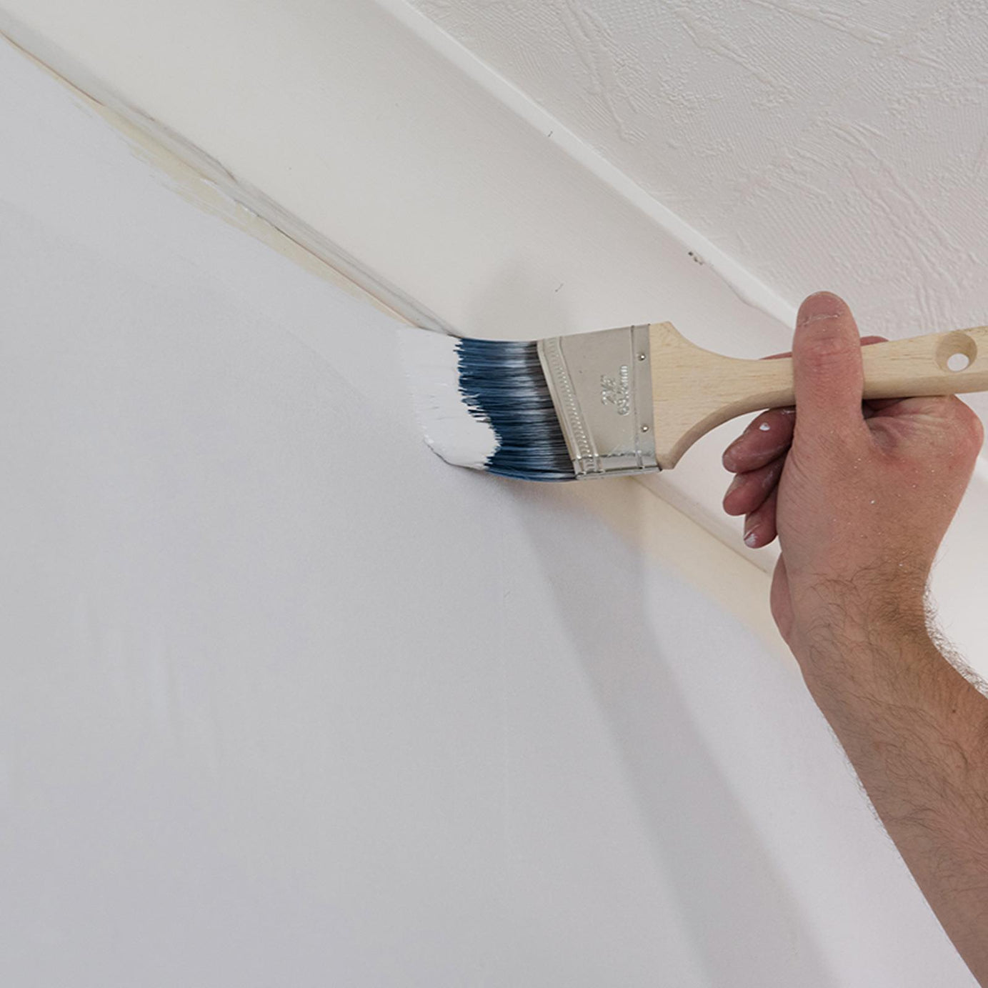 Angled Paint Brush 63mm Window Frames Corners Detail Precision Decorating DIY