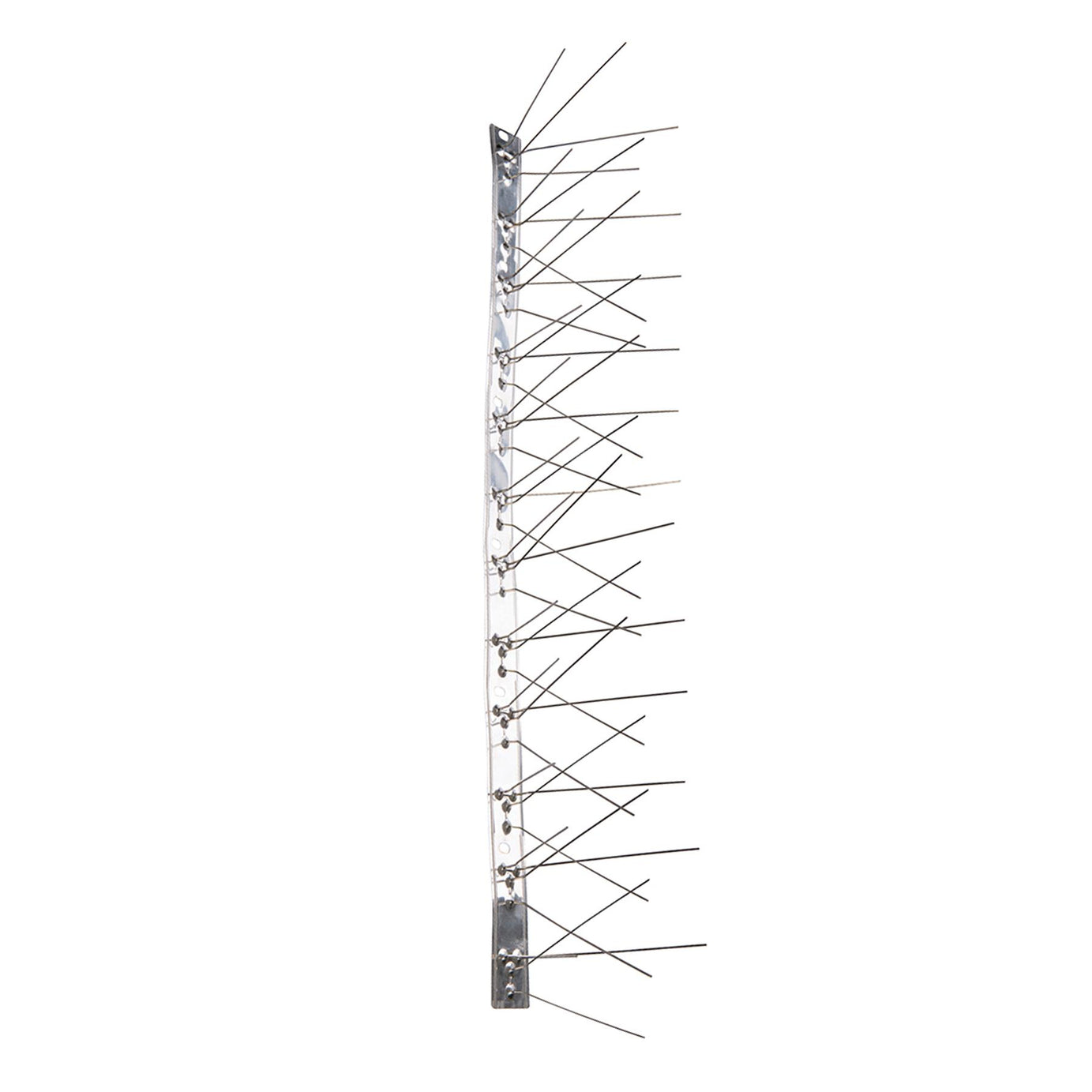 10Pk Stainless Steel Bird Spikes - 500mm (4 Spike) Stainless Steel Base & Spikes