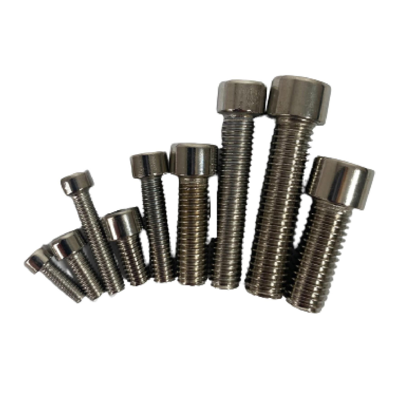 106Pcs Assorted Stainless Steel Hex Screws 201 S/S Hex Cap Bolts and Nuts