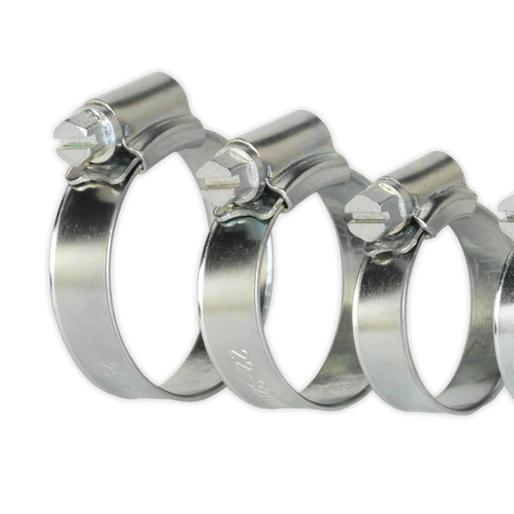 Sealey Hose Clip Assortment 30pc 8-29mm Zinc Plated