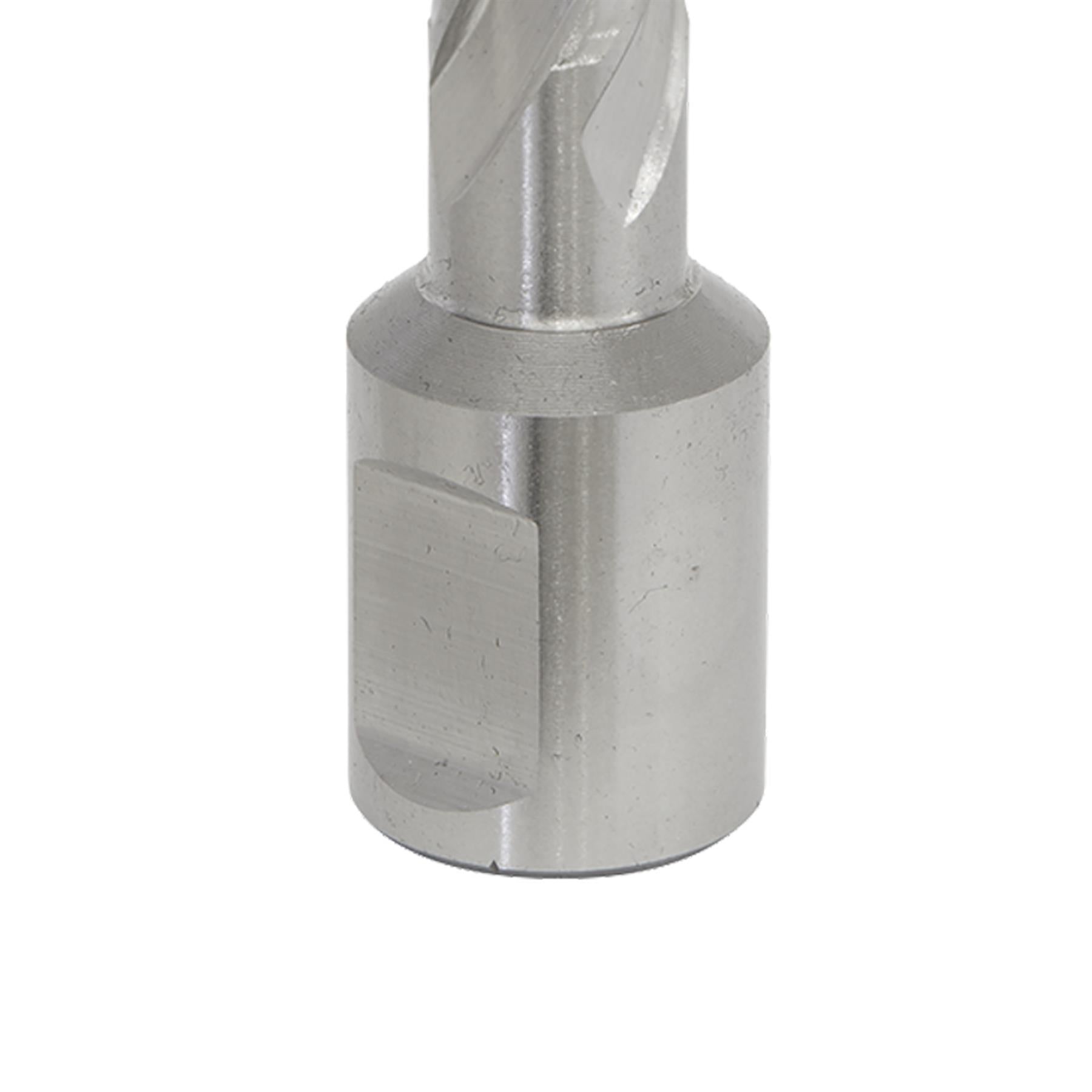 Sealey Rotabor Cutter HSS Ø12mm - Cut Depth 50mm