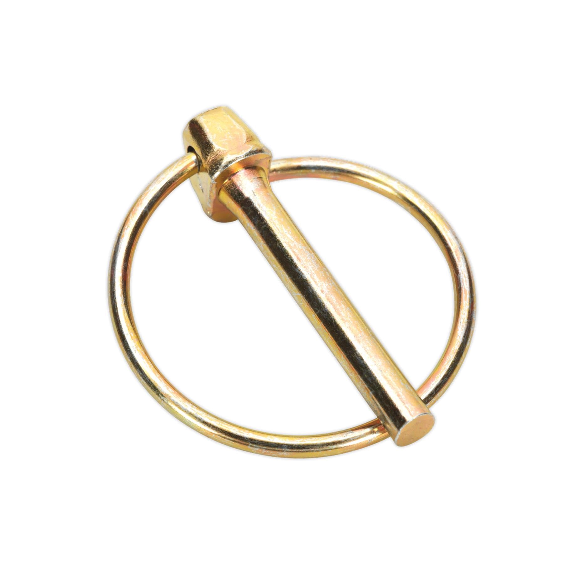 Sealey 50pc Lynch Pin ( Linchpin ) Locking Pin Clip Assortment Set Metric