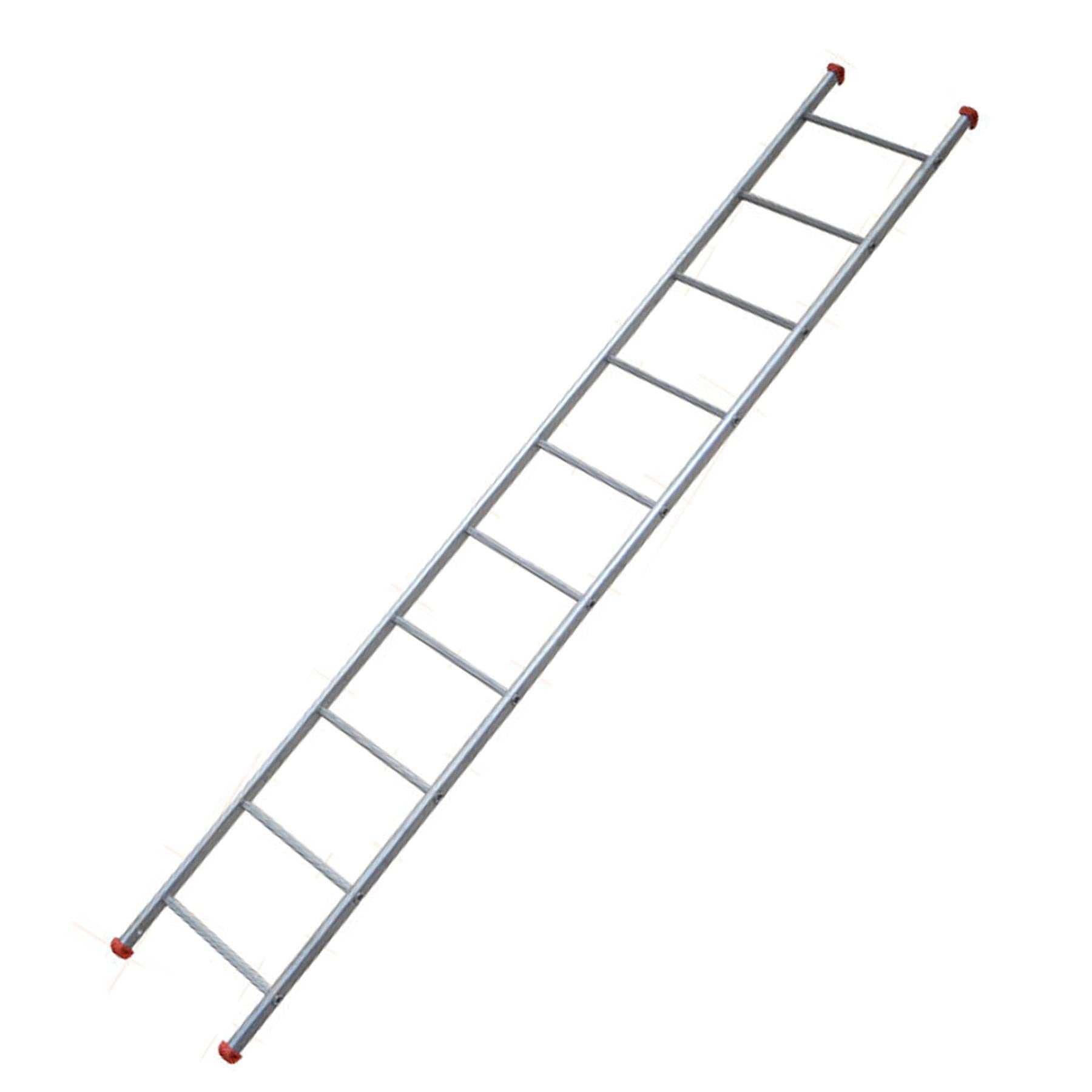 Dapetz Steel Single Section 16 Rung Ladder 5m