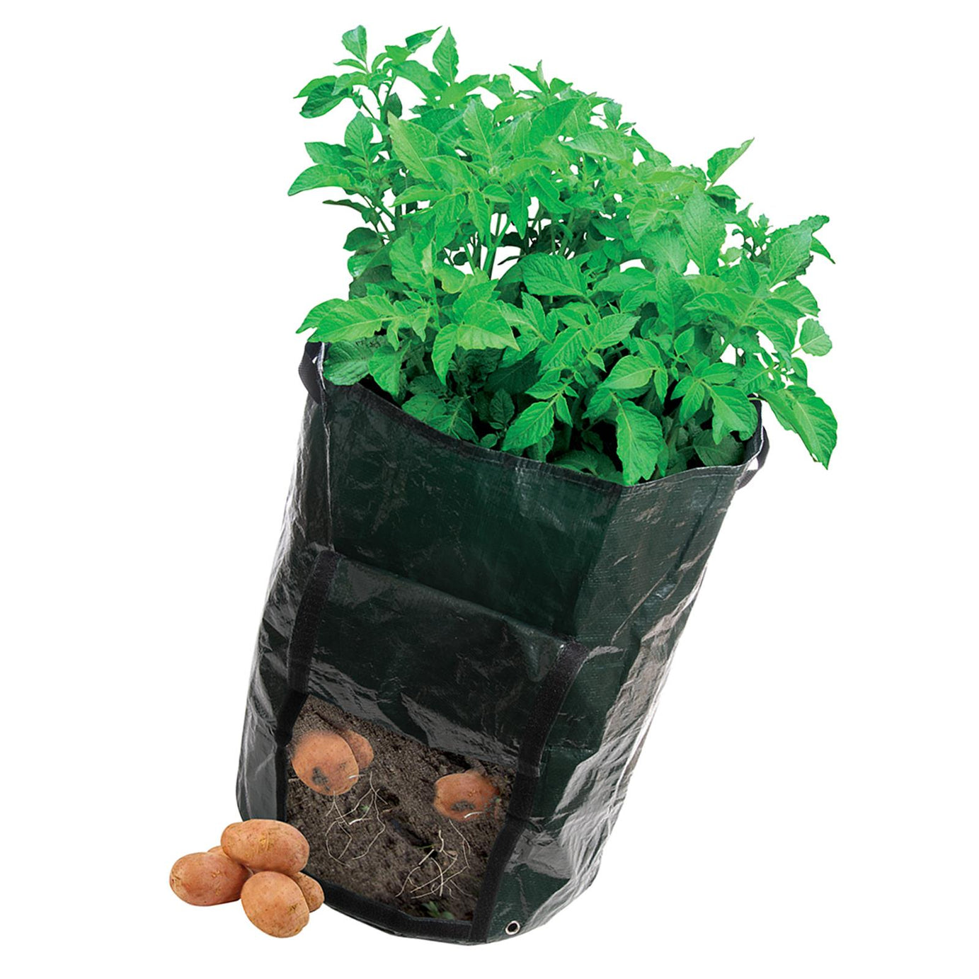 Potato Planting Bag - 360 X 510mm Tough, Woven Plastic Bag Planter New