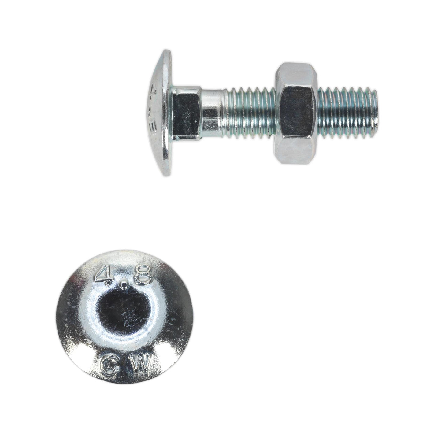 Sealey M10 (10mm) X 40mm Coach Bolts With Hexagon Full Nuts Zinc Pack Of 50