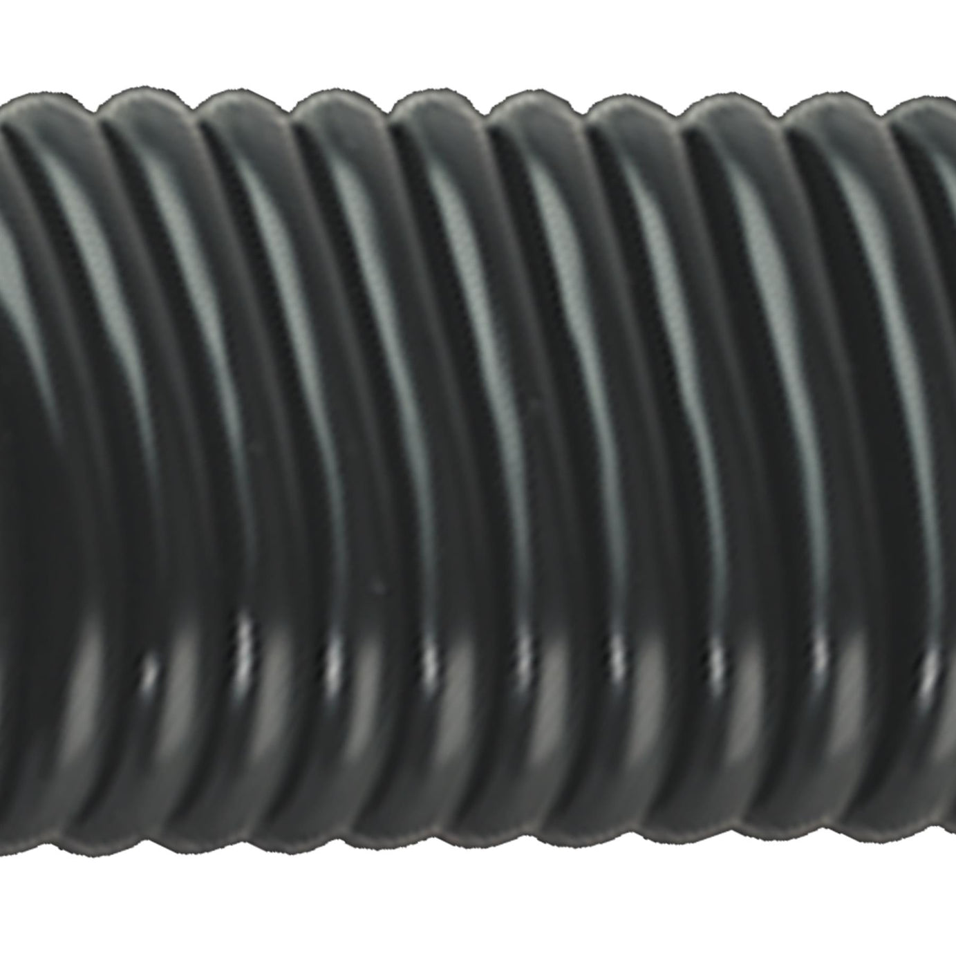 Sealey Towing Socket Assembly N-Type 12V