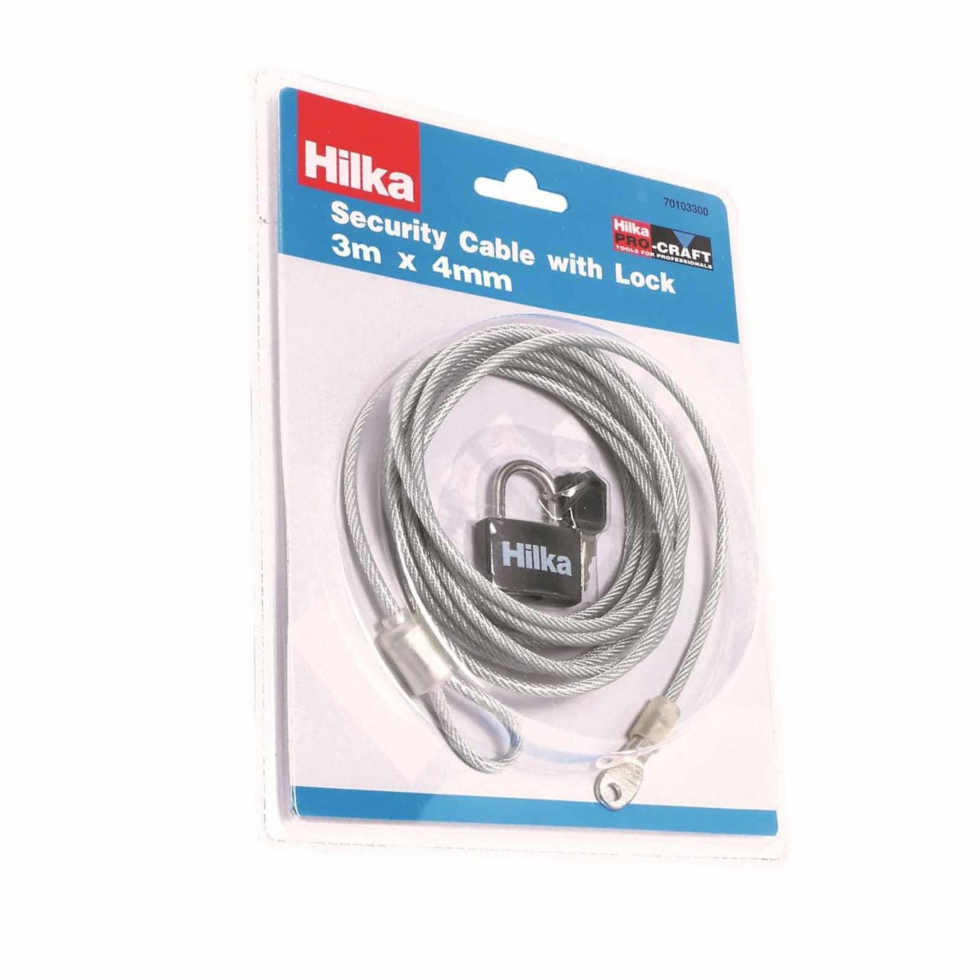 Security Cable with Lock