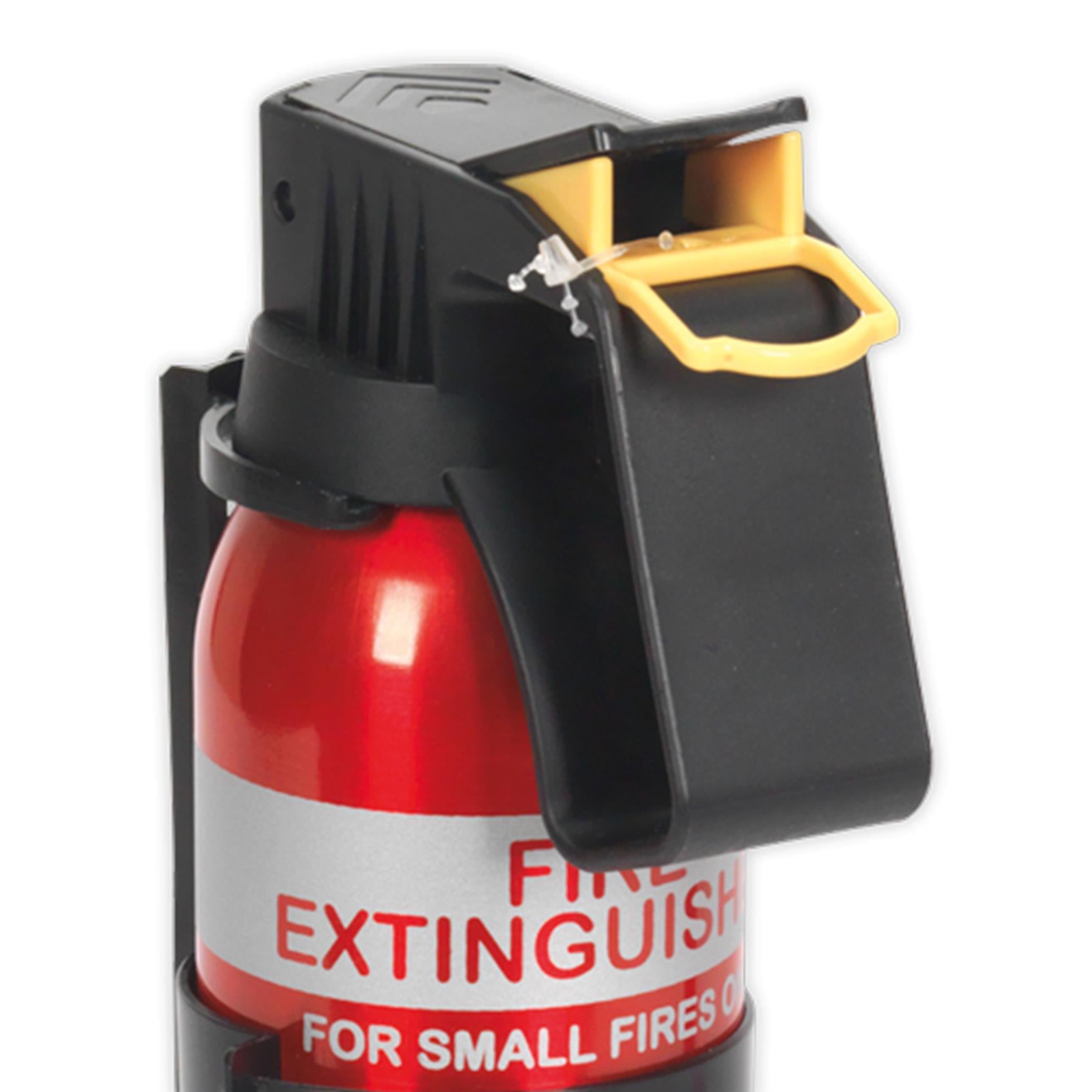 Sealey Fire Extinguisher 0.6kg Dry Powder - Disposable