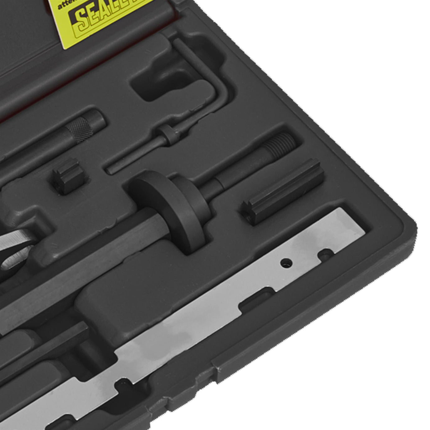 Die Eng S/L Kit & Timing Chain R&I Kit-Ford-Belt/Chain Drive. Sealey