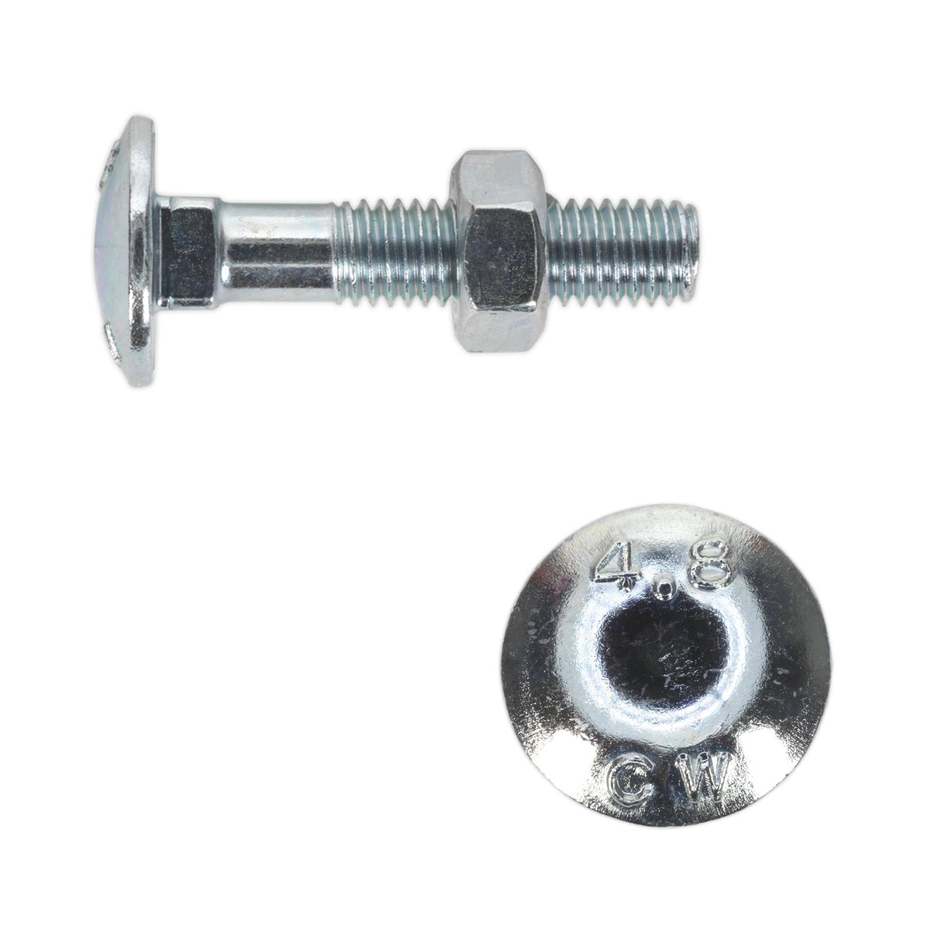 Sealey Coach Bolt & Nut DIN 603 - M8 x 40mm Zinc Pack of 50