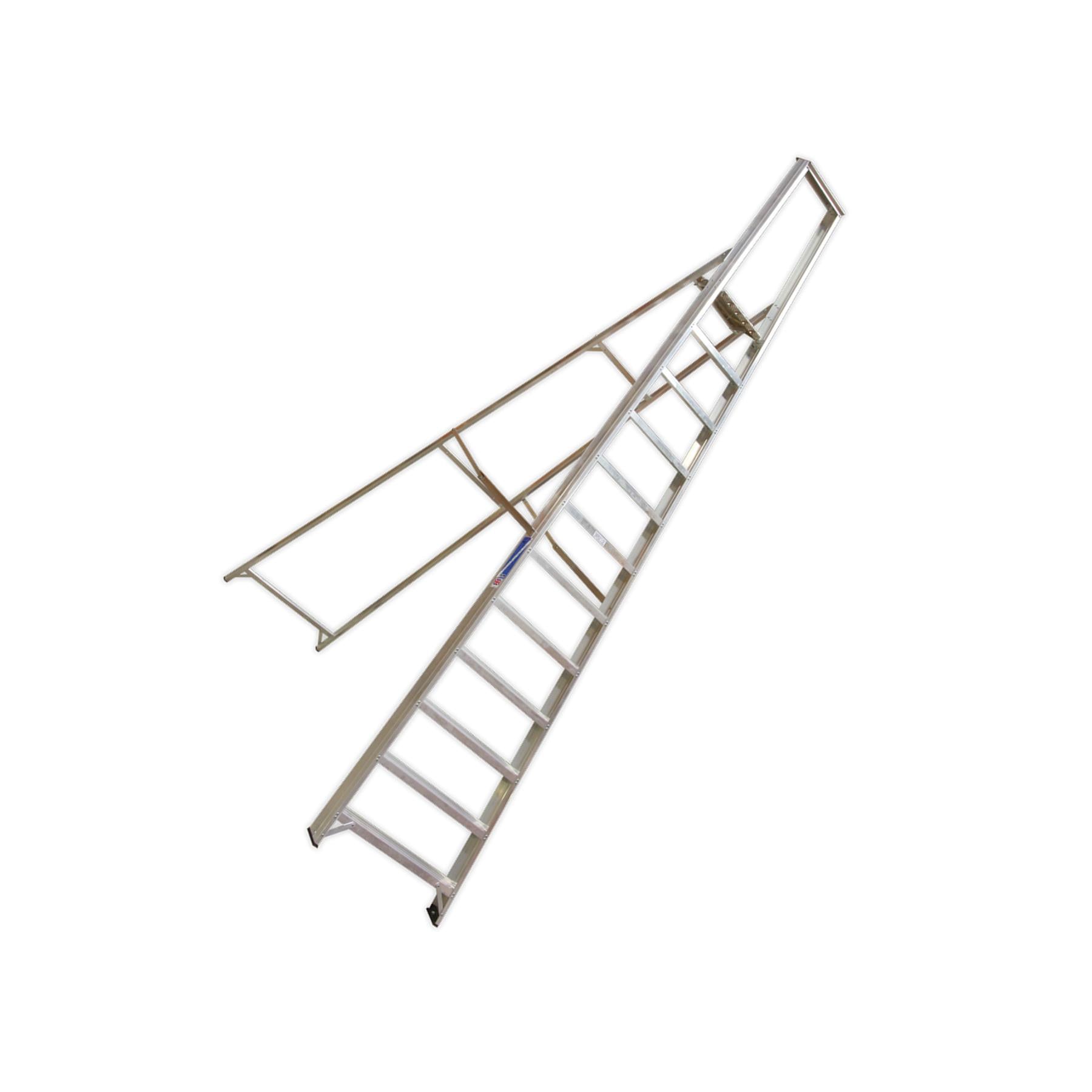 Sealey Aluminium Step Ladder 12-Tread Industrial BS 2037/1