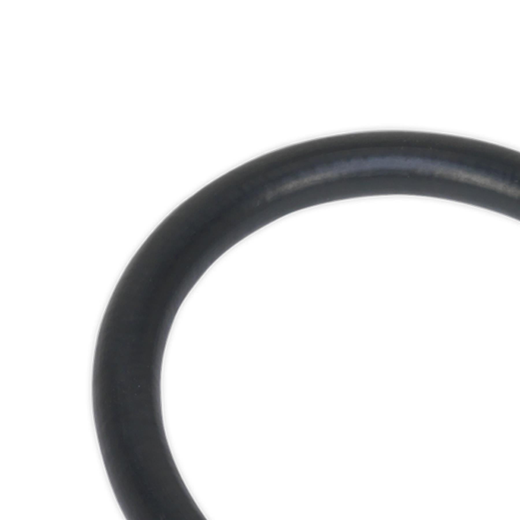 Sealey Rubber Del Hose with 4-Jaw Connector Flex 300mm 1/8"BSP Gas