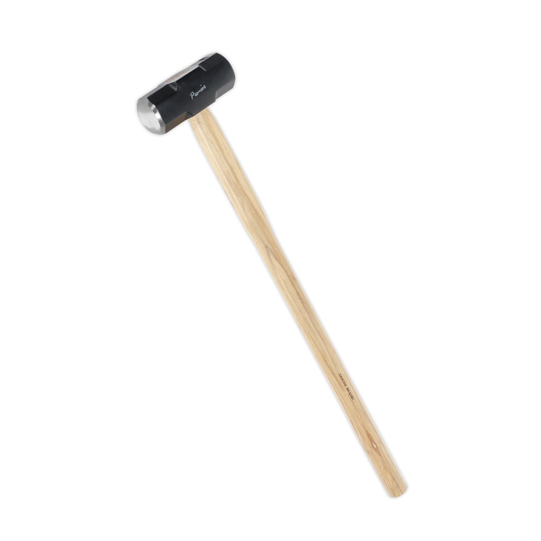 Sealey Sledge Hammer 10lb Hickory Shaft
