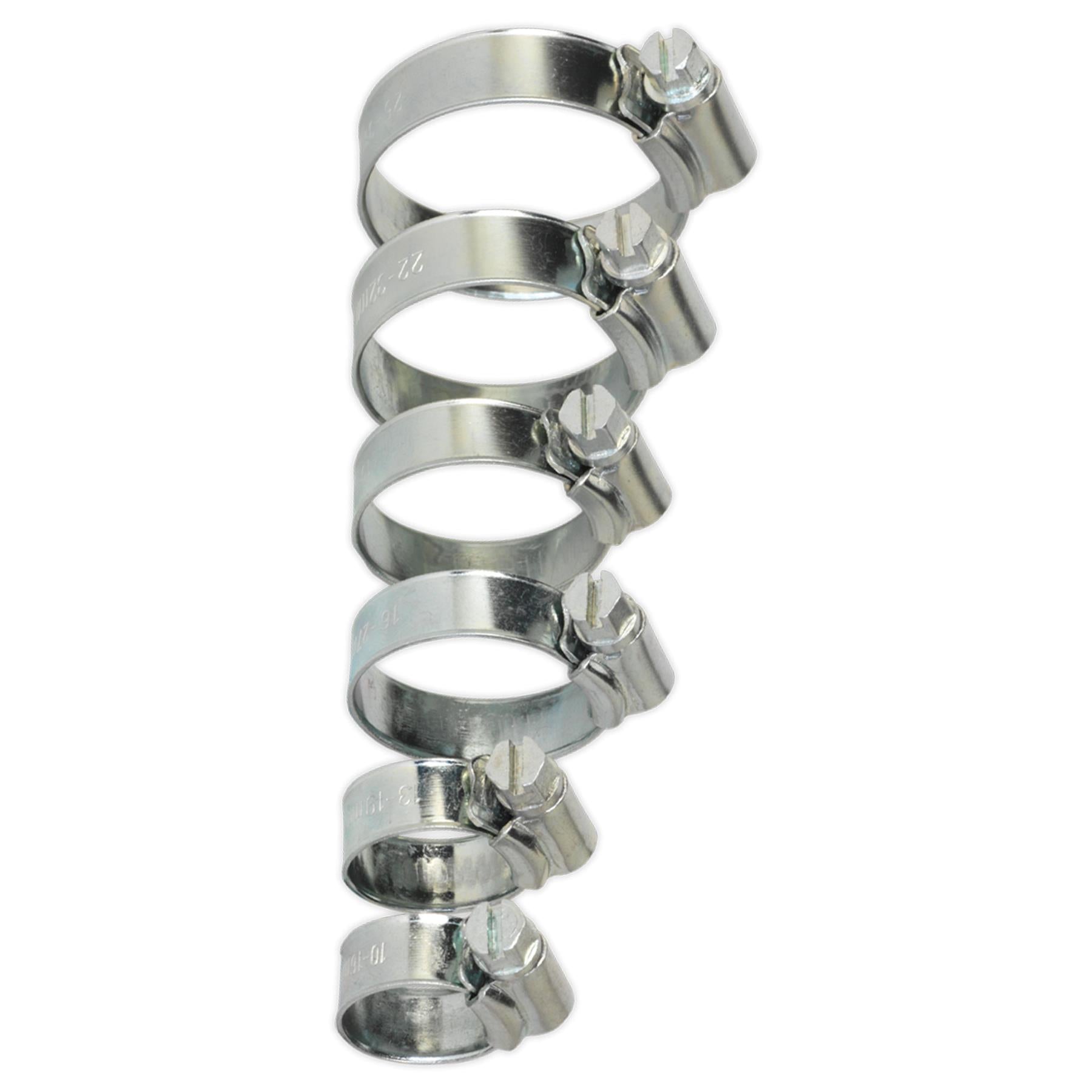 Sealey Hose Clip Assortment 30pc 8-29mm Zinc Plated
