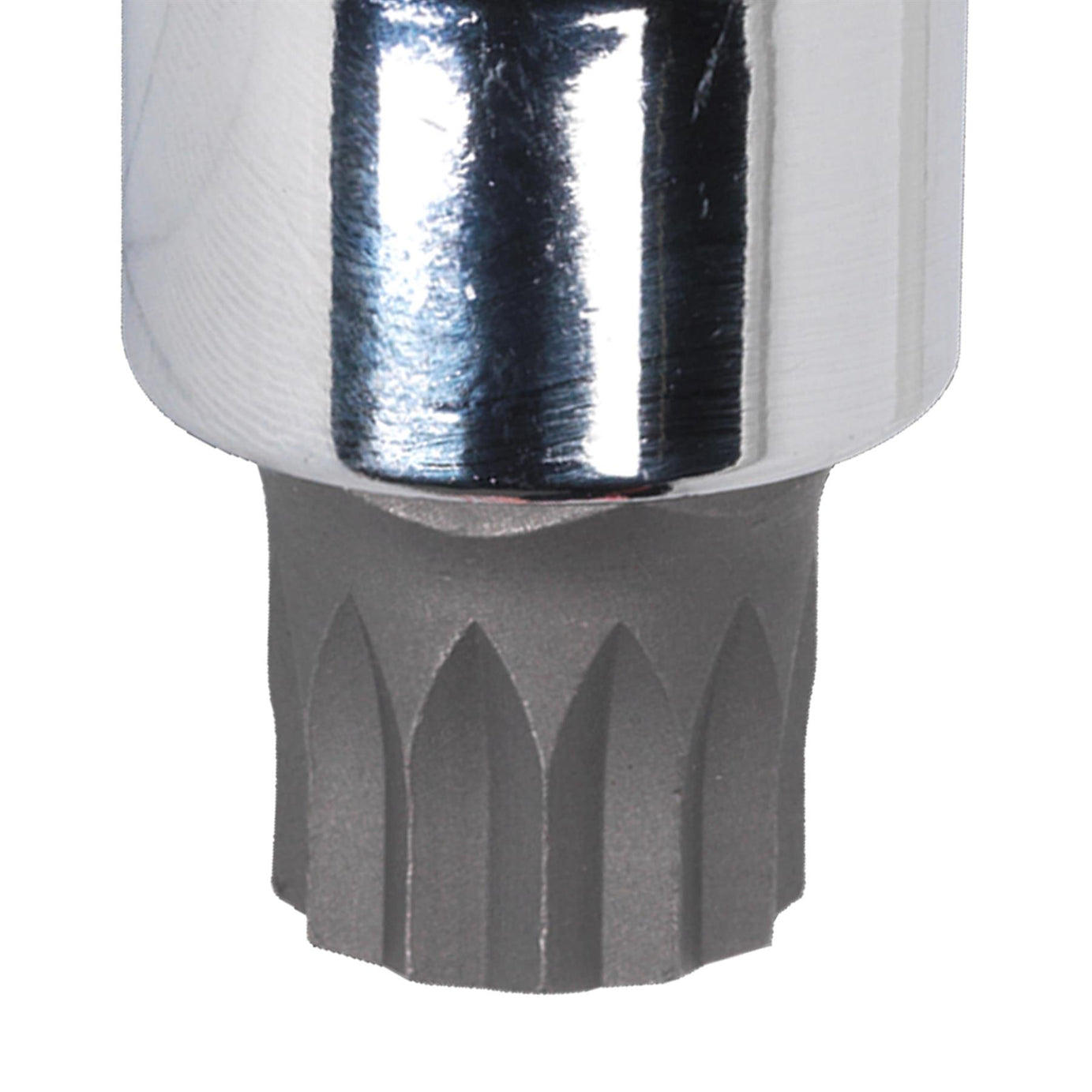 Sealey Security Spline Socket Bit M16 1/2"Sq Drive