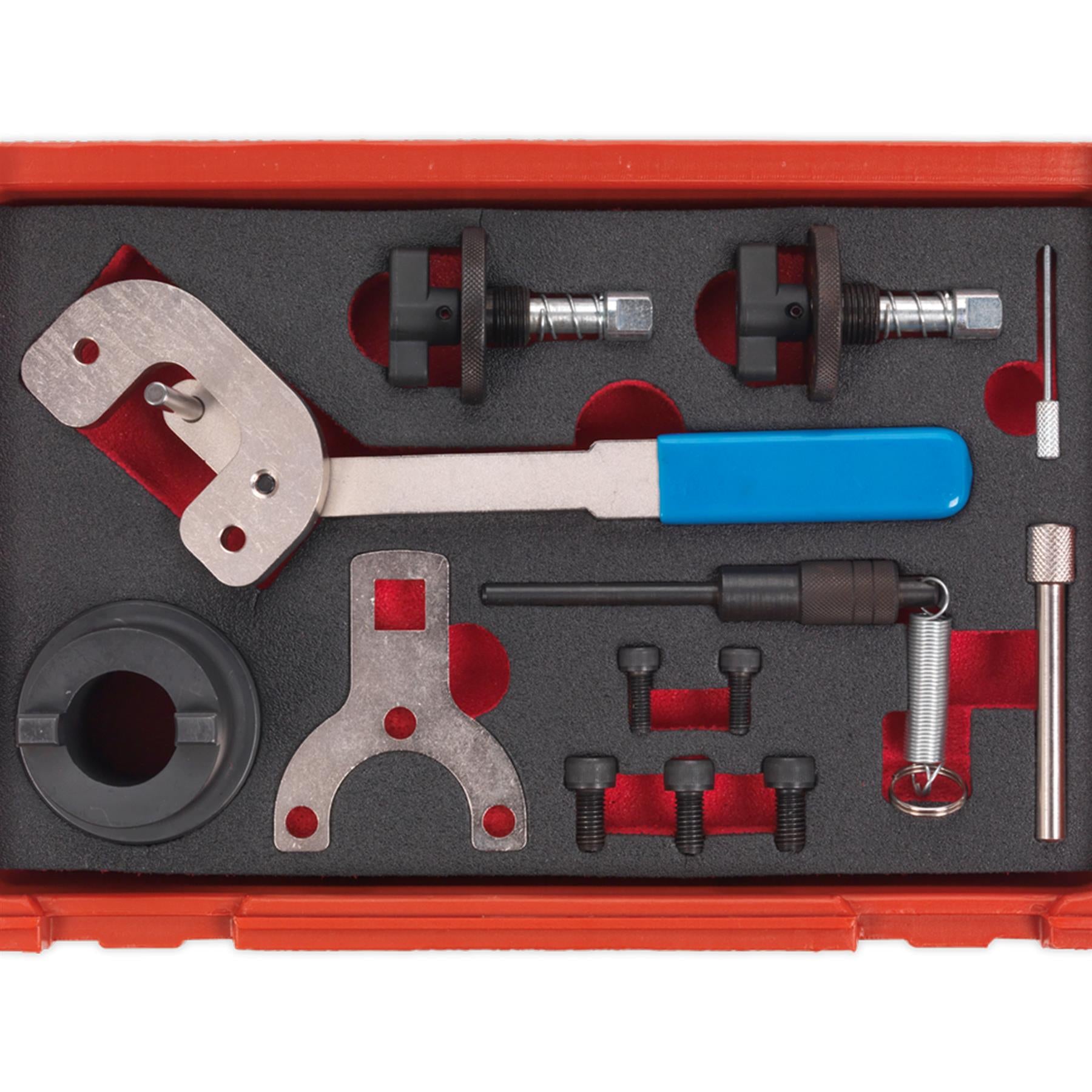 Sealey Diesel Engine Timing Tool Kit - Alfa Romeo,Ford,PSA,Suzuki,Vauxhall-Chain