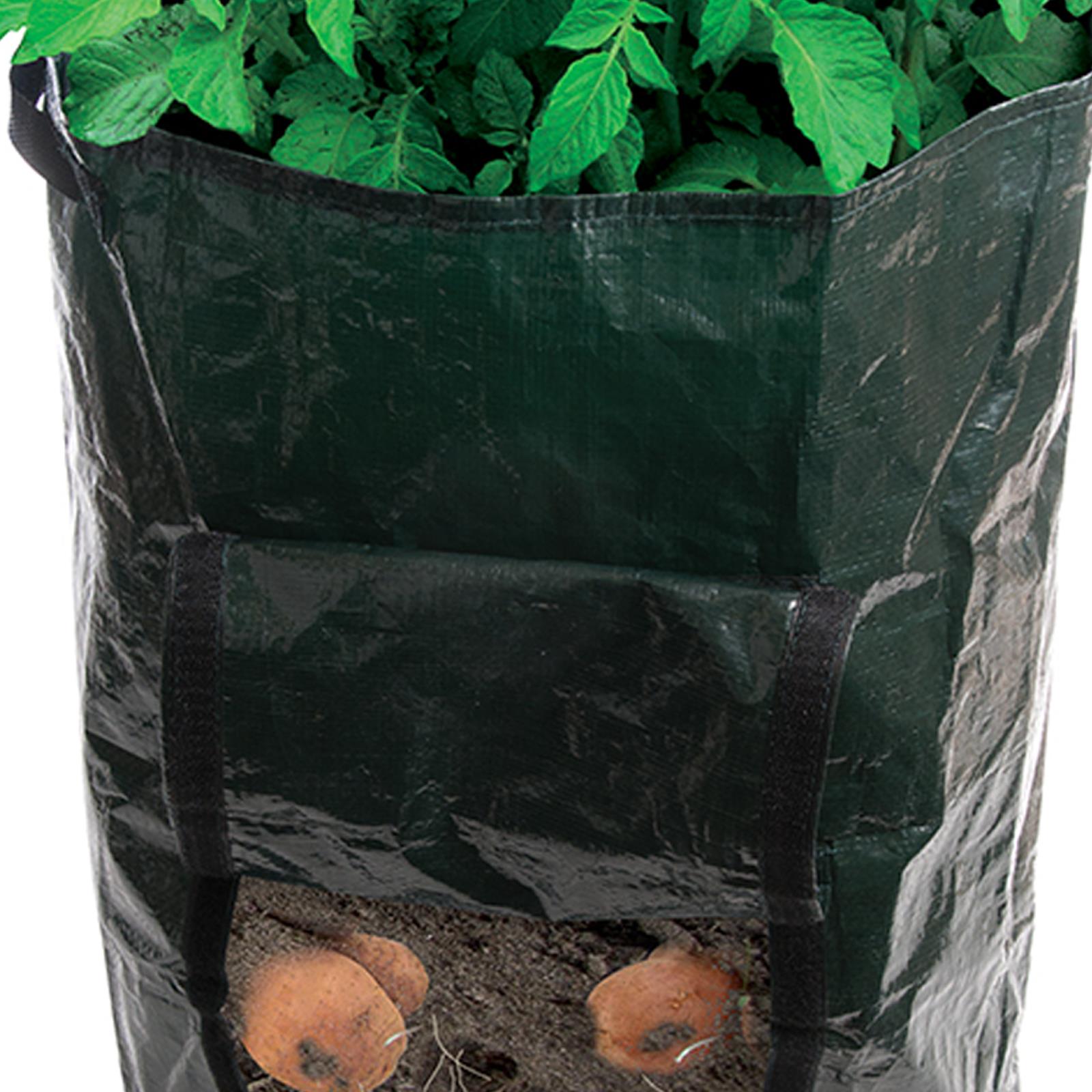 Potato Planting Bag - 360 X 510mm Tough, Woven Plastic Bag Planter New