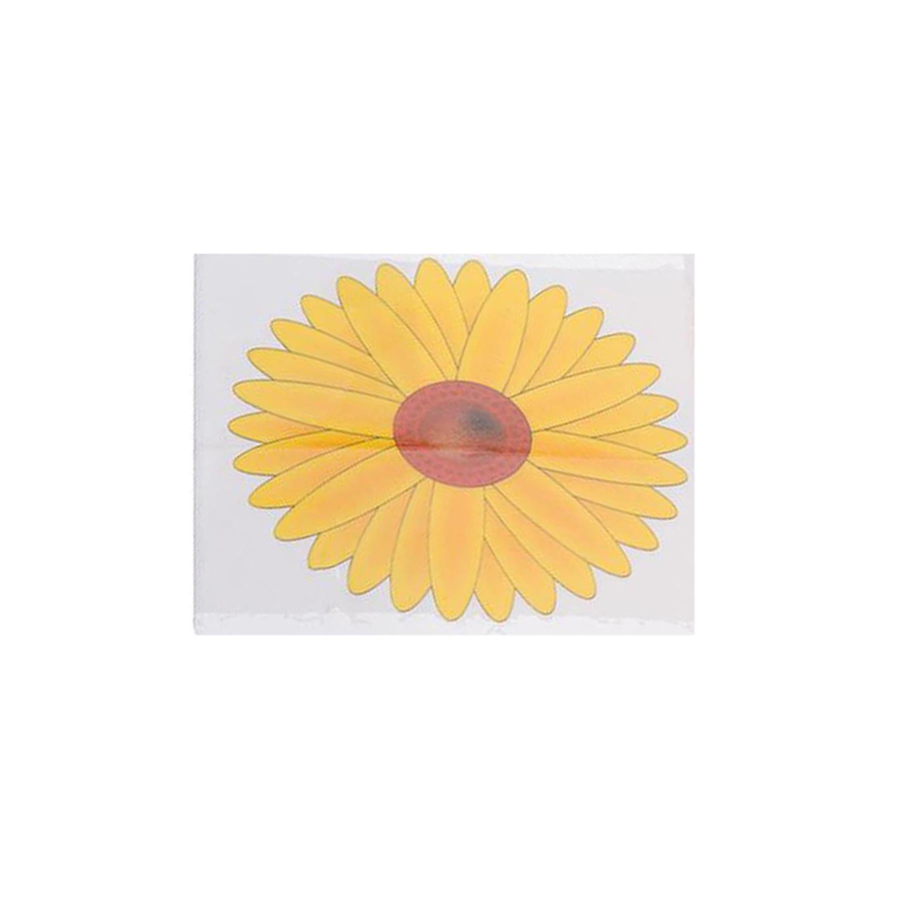 Window Traps,Insect Killer Papers,,Indoor