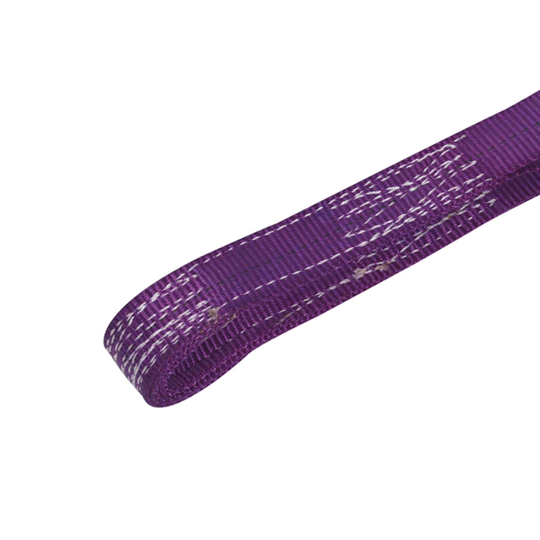 Sealey Load Sling 1tonne Capacity 1m