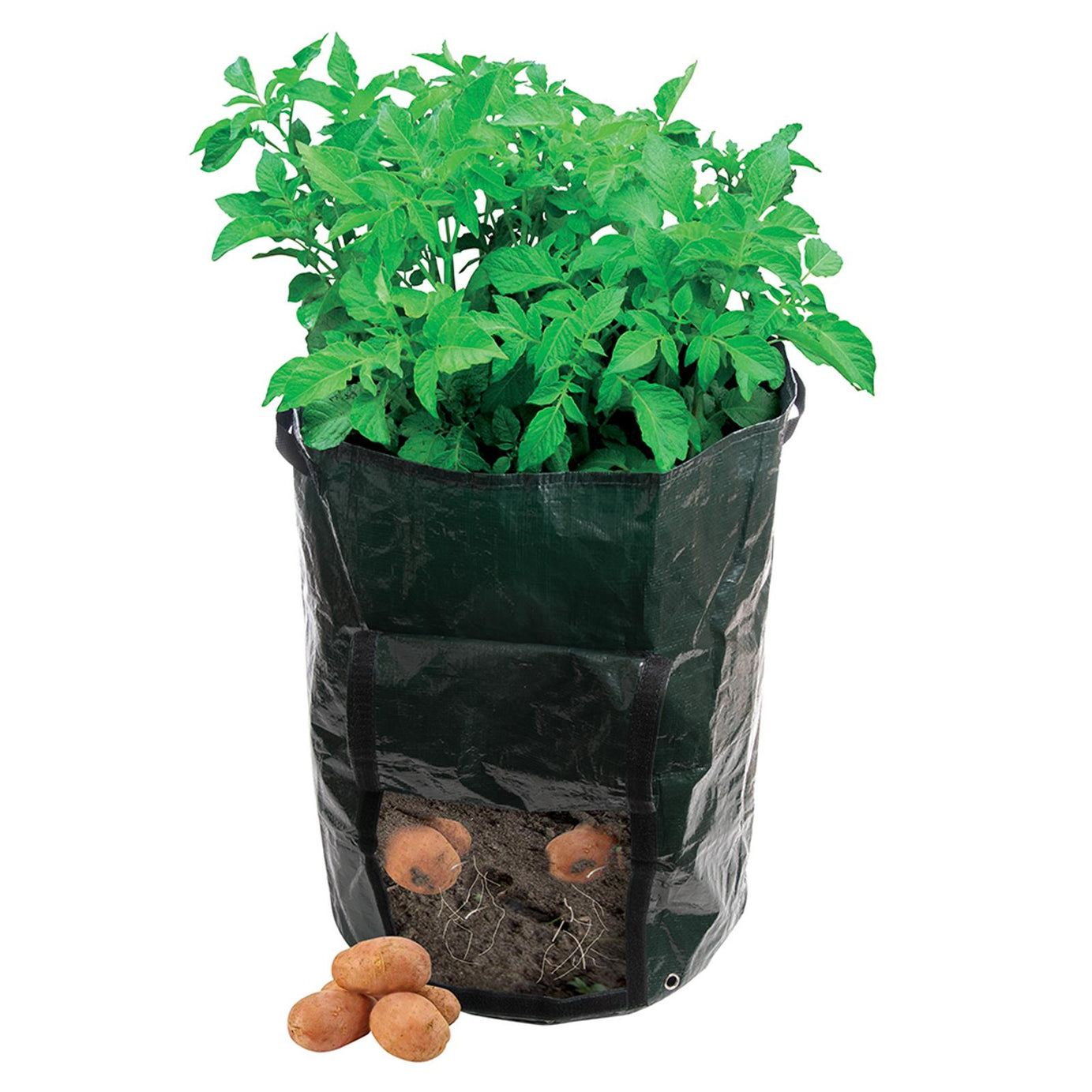 Potato Planting Bag - 360 X 510mm Tough, Woven Plastic Bag Planter New
