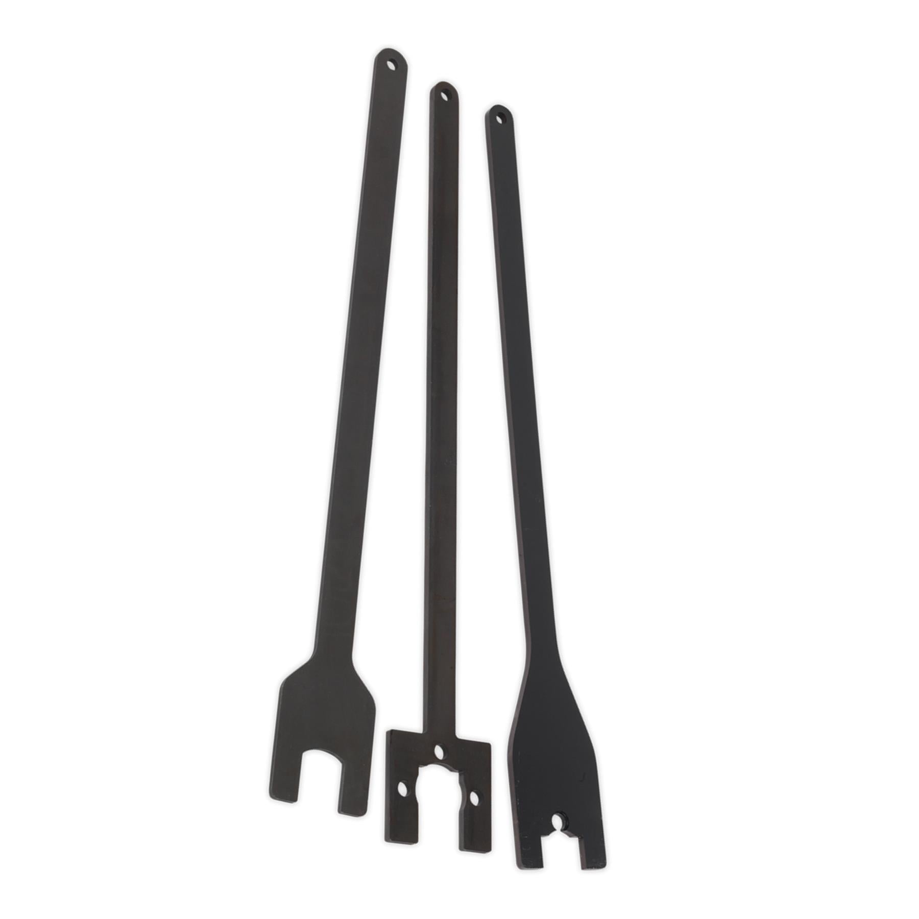 Sealey Viscous Fan Spanner Set - for Land Rover/Range Rover - Chain Drive
